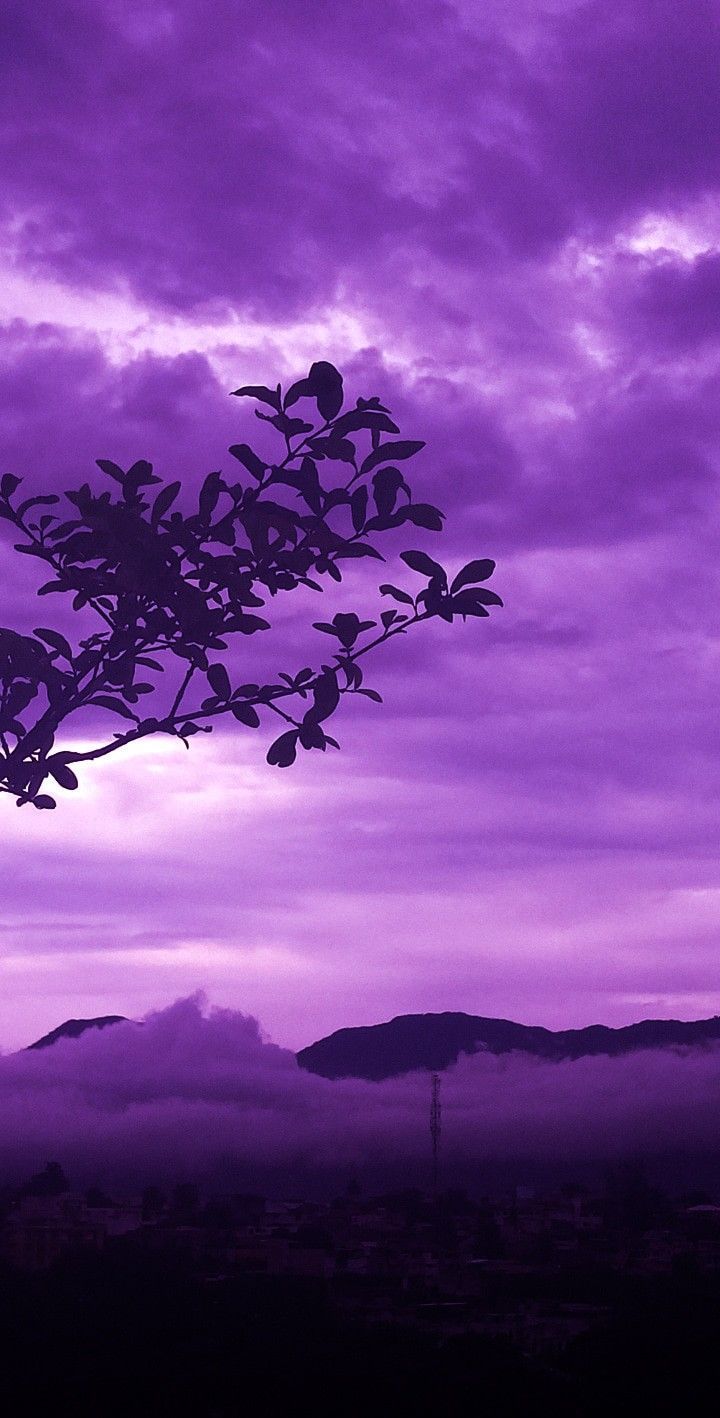 720x1418 purple rain