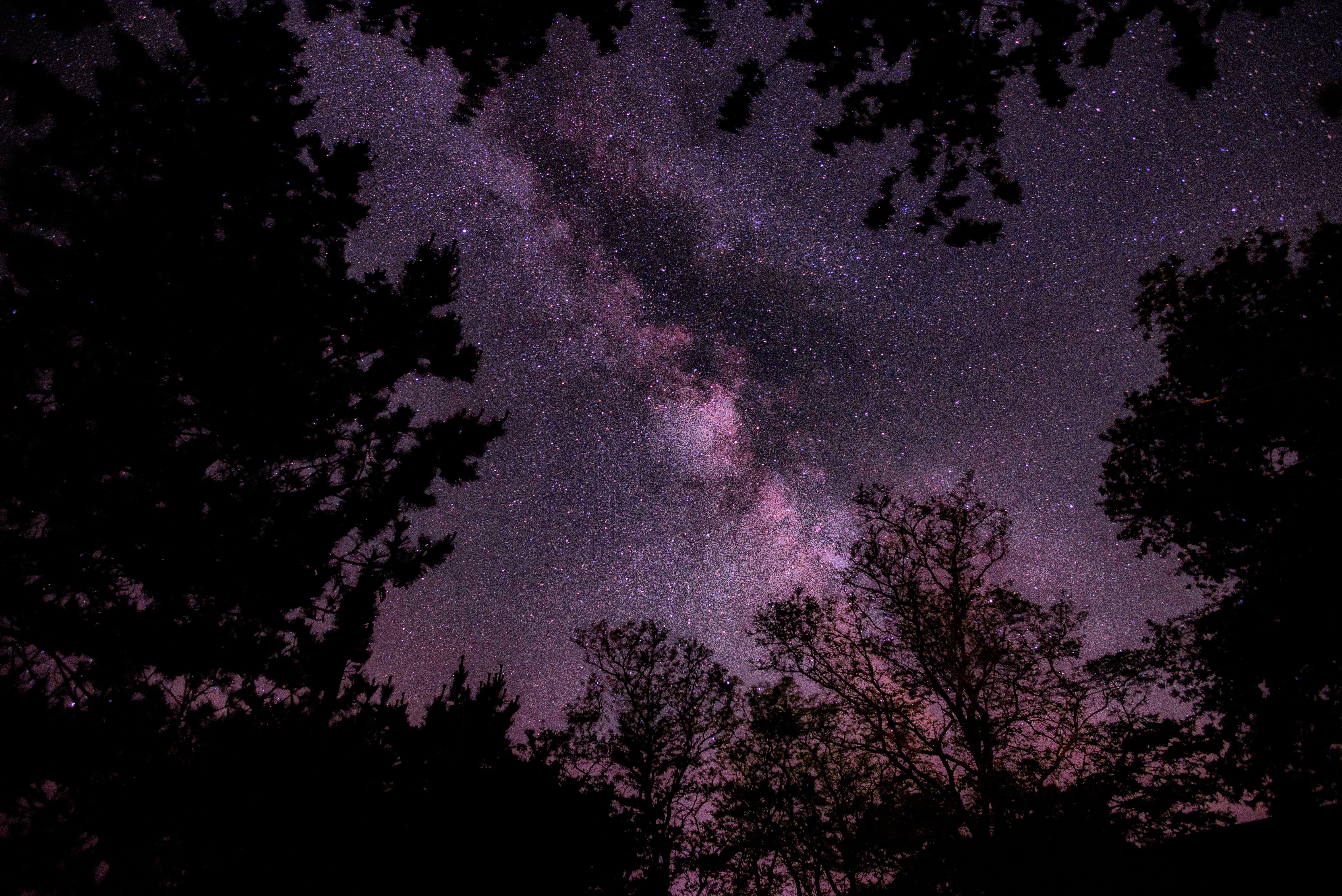 6016x4016 Milky Way Nightscape: Silhouetted Trees Under a Starry 4K Skyx4016