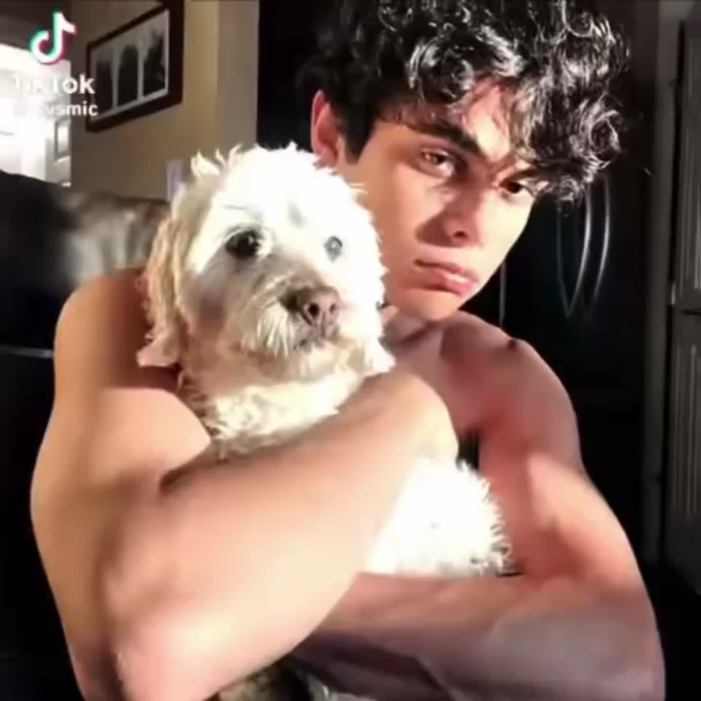 1440x1440 Benoftheweek ideas. do i love him, hey mama, youtubers