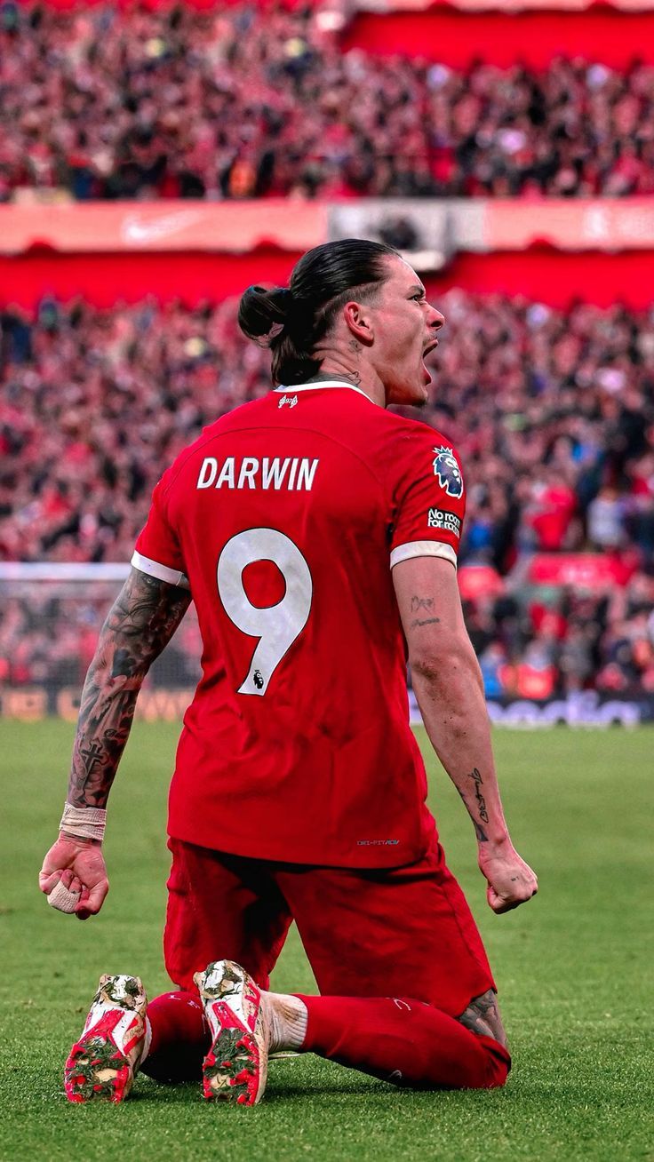 736x1308 Darwin Nunez Wallpaper
