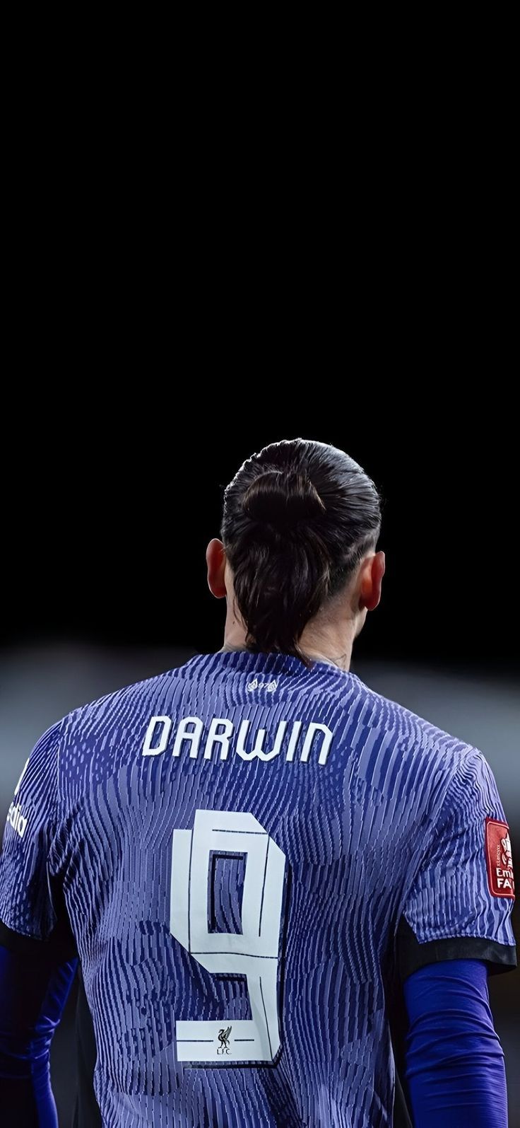 736x1595 Darwin Nuñez 2024 Wallpaper