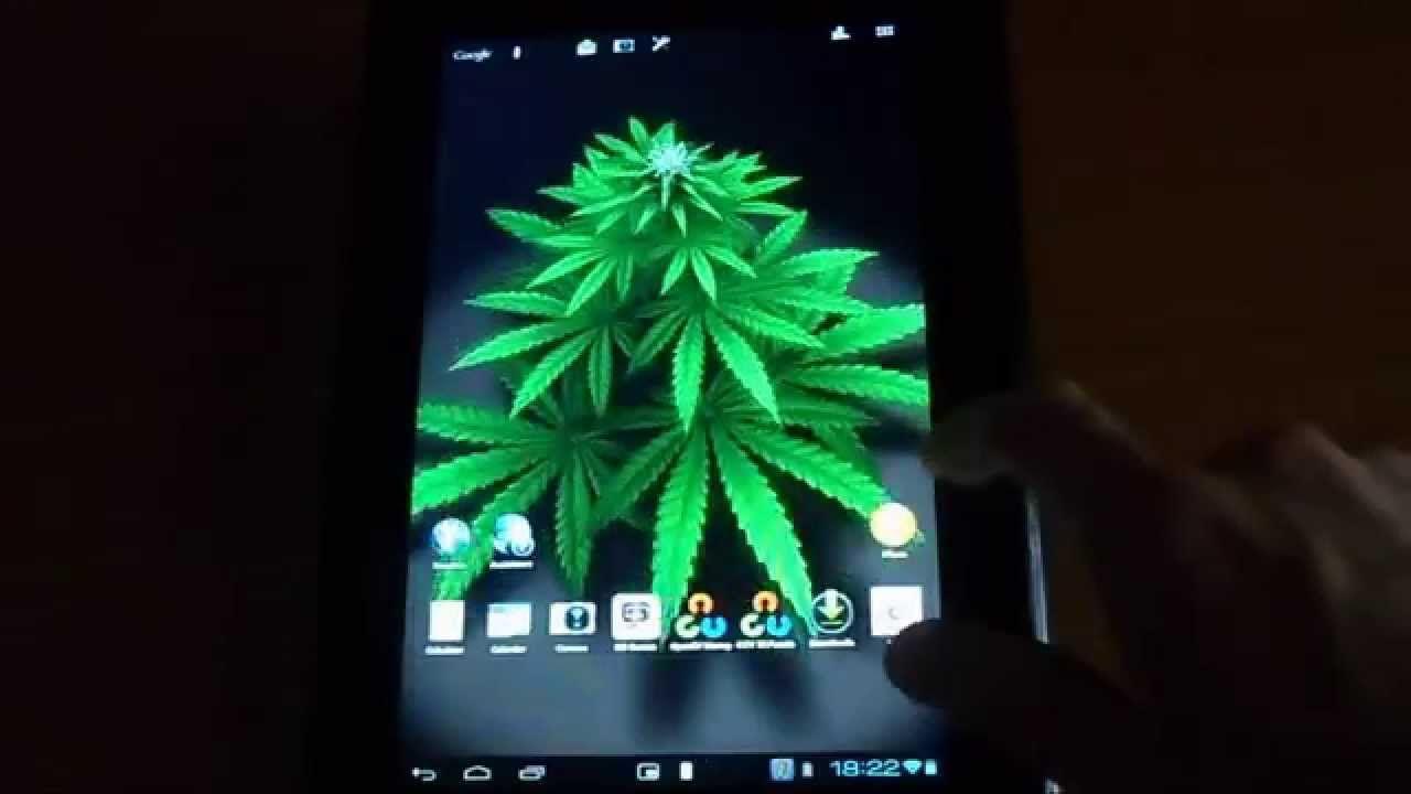 1280x720 Live Wallpaper Mage Money Plant