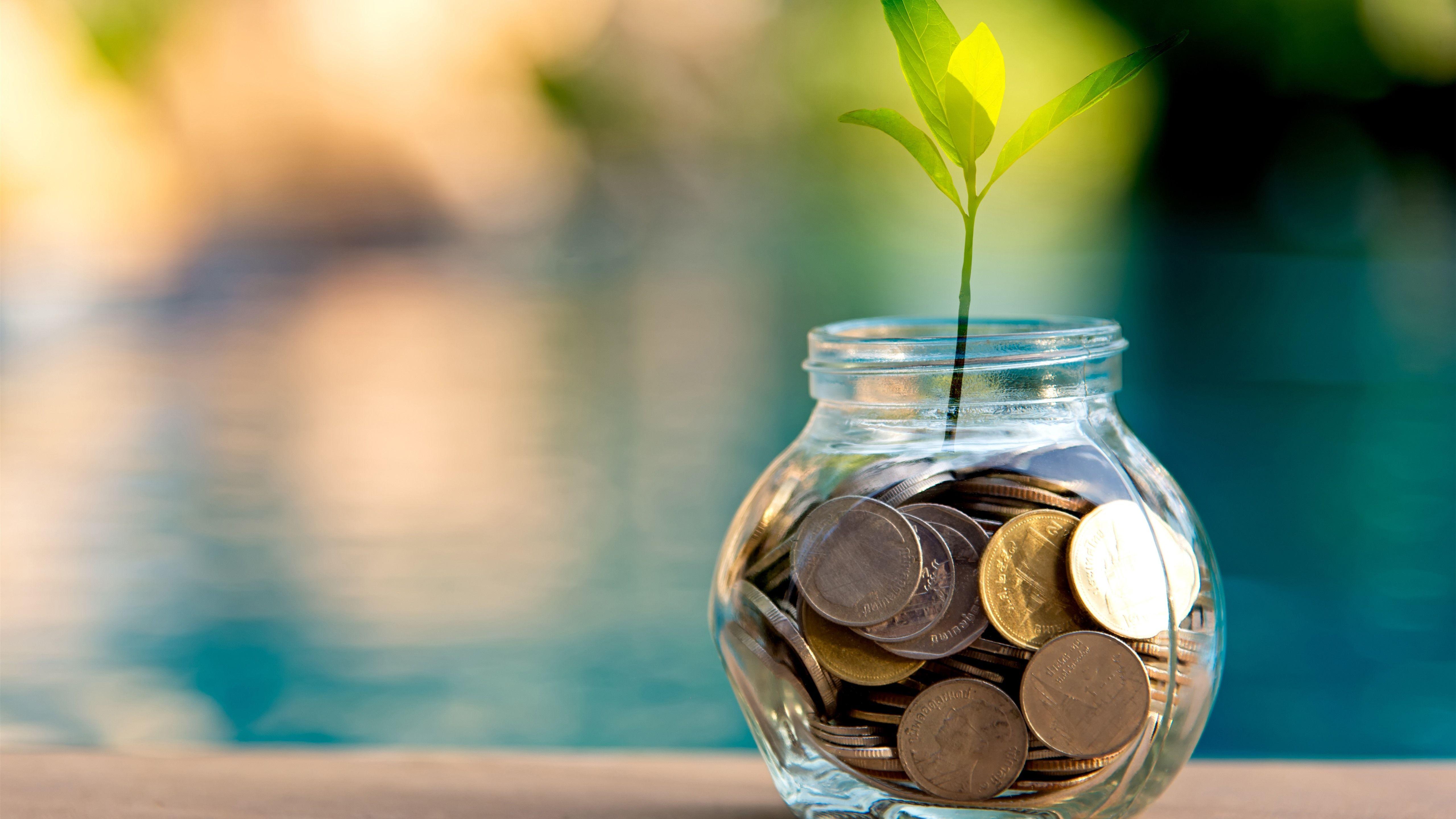 5120x2880 Wallpaper Coins, bank, plants, green leaves 5120x2880 UHD 5K