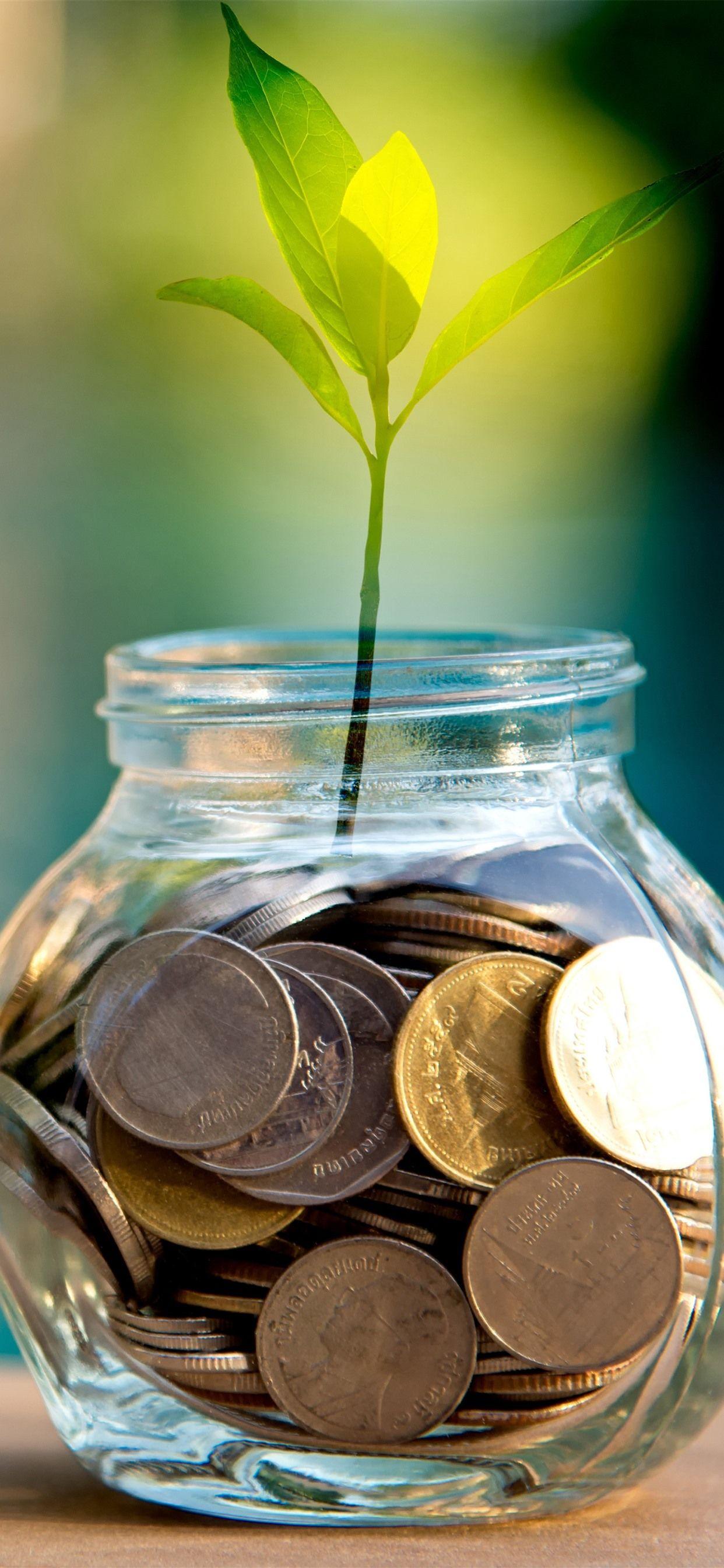 1242x2688 Coins, Bank, Plants, Green Leaves 1242x2688 IPhone 11 Pro XS Max
