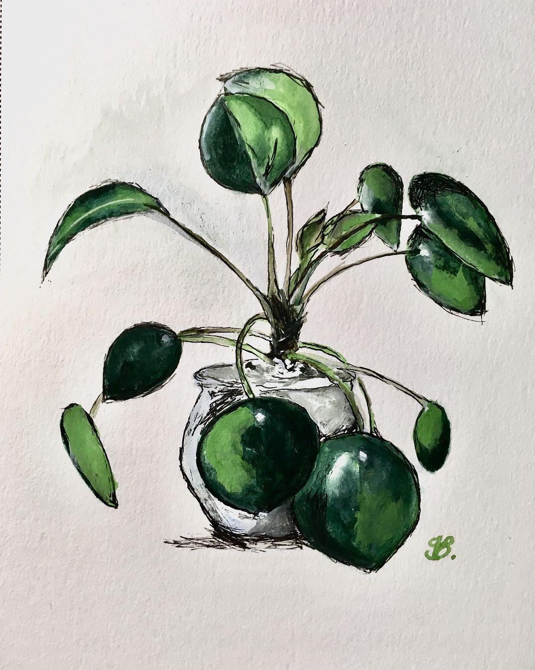 1080x1352 Plant drawing