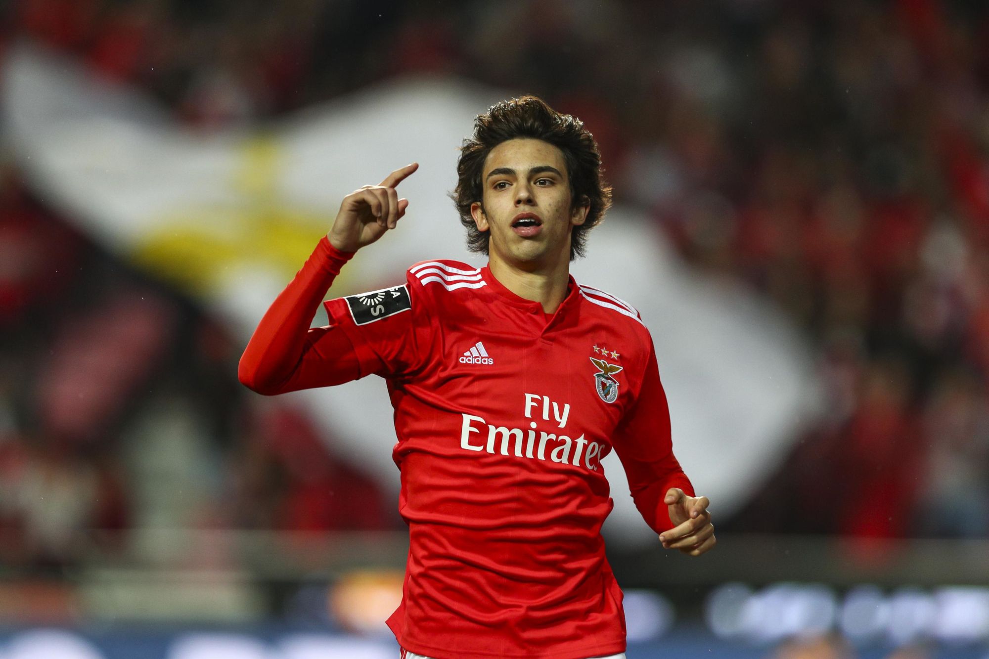 2000x1333 Download Soccer Portuguese Joao Felix Sports HD Wallpaperx2175