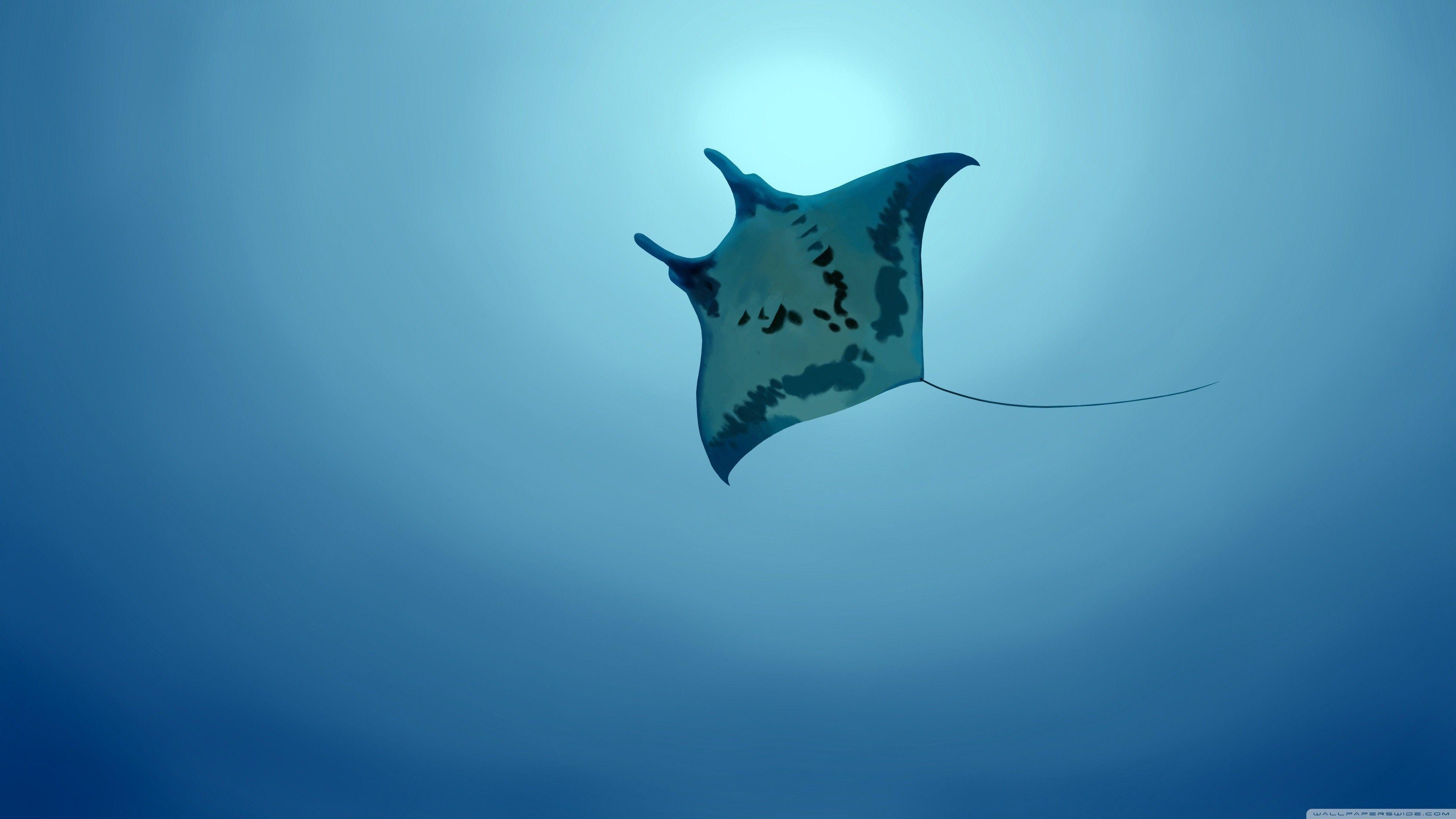 3840x2160 Sea Life Wallpaper