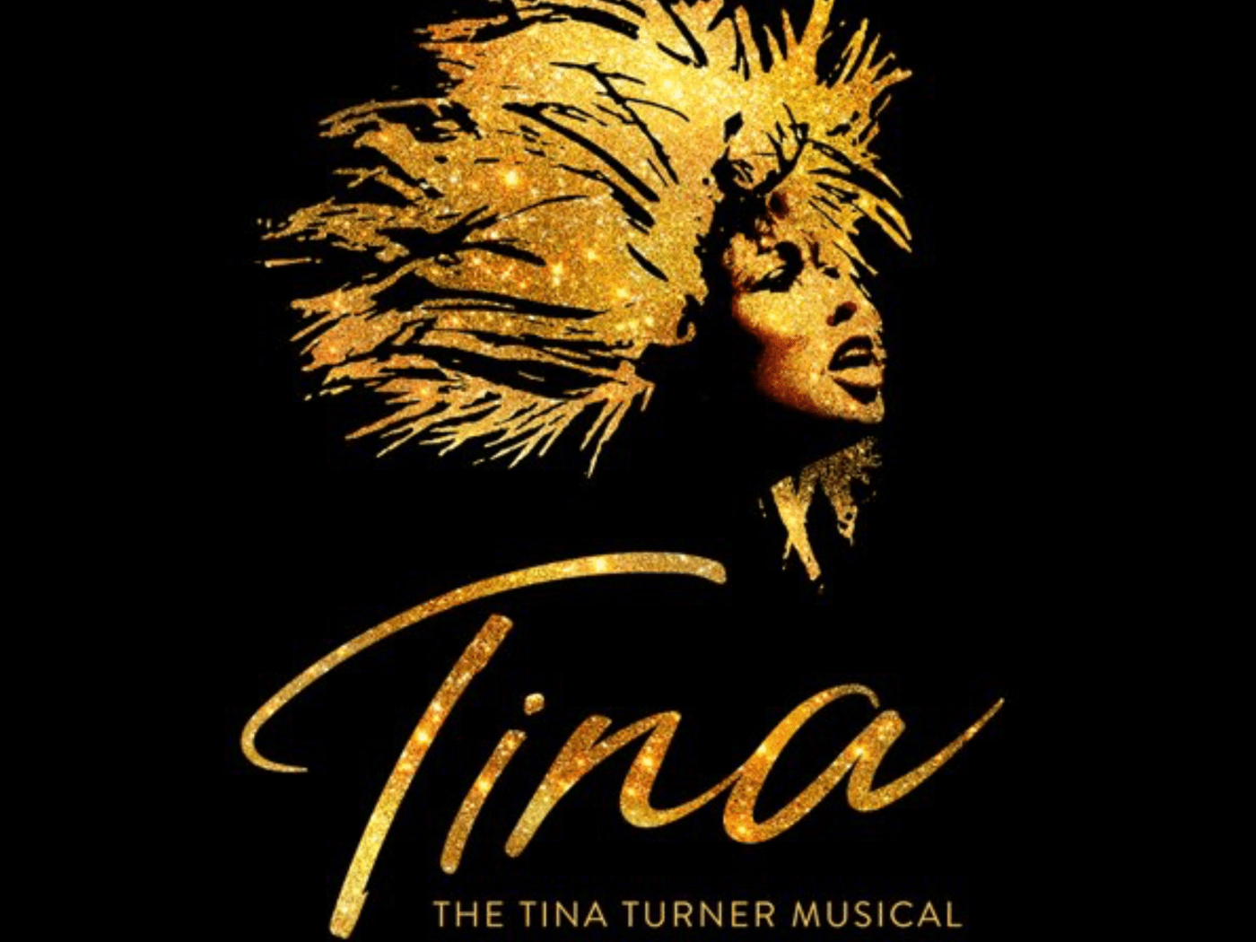1400x1050 Tina Turner Wallpaper