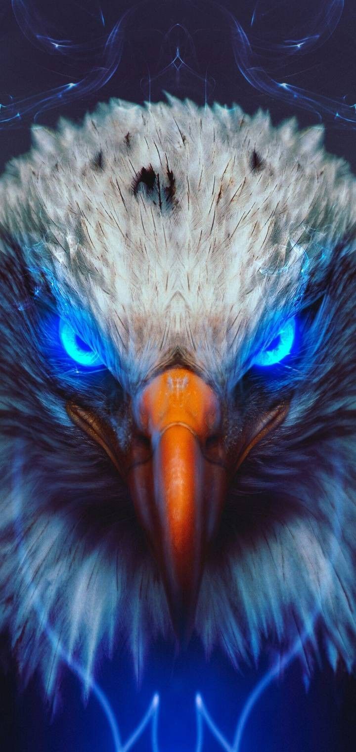 720x1520 mighty eagle 4k wallpaper