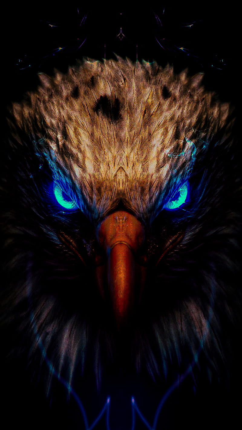 800x1422 THE SPIRITED EAGLE, american, angry, animal, bird, dark, raven, spirit, HD phone wallpaper