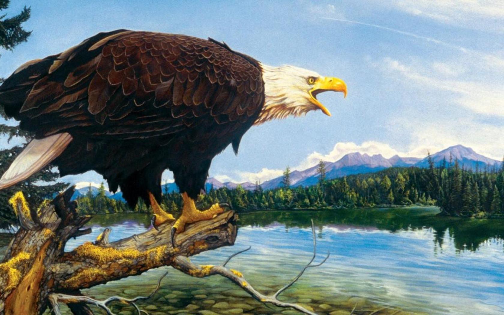 1680x1050 