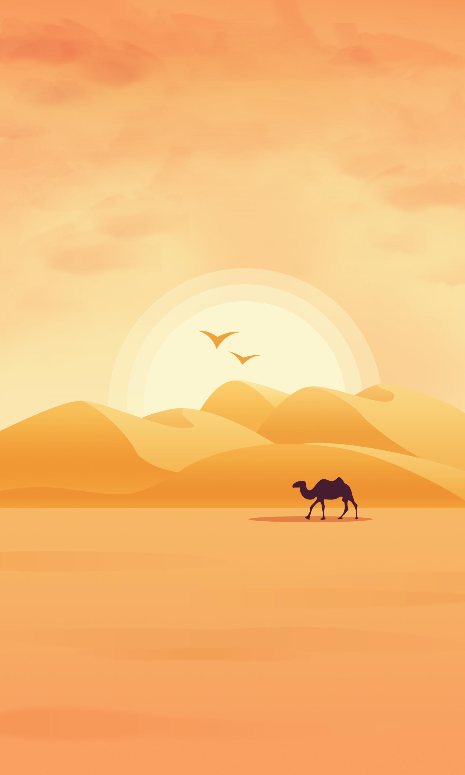 1536x2560 Samsung Galaxy M13 Wallpaper