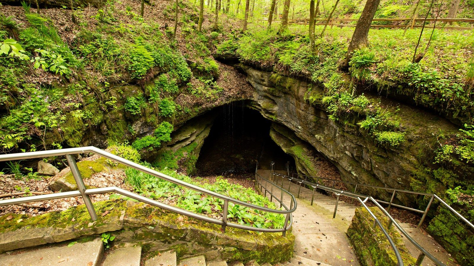 1600x900 Mammoth Cave Historic Entrance (U.S. National Park Service)