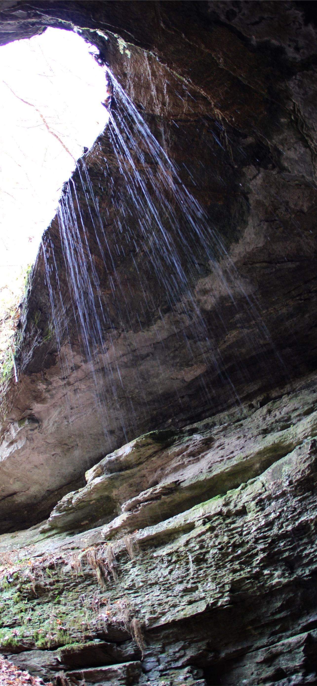 1284x2778 Best Mammoth cave national park iPhone HD Wallpaper
