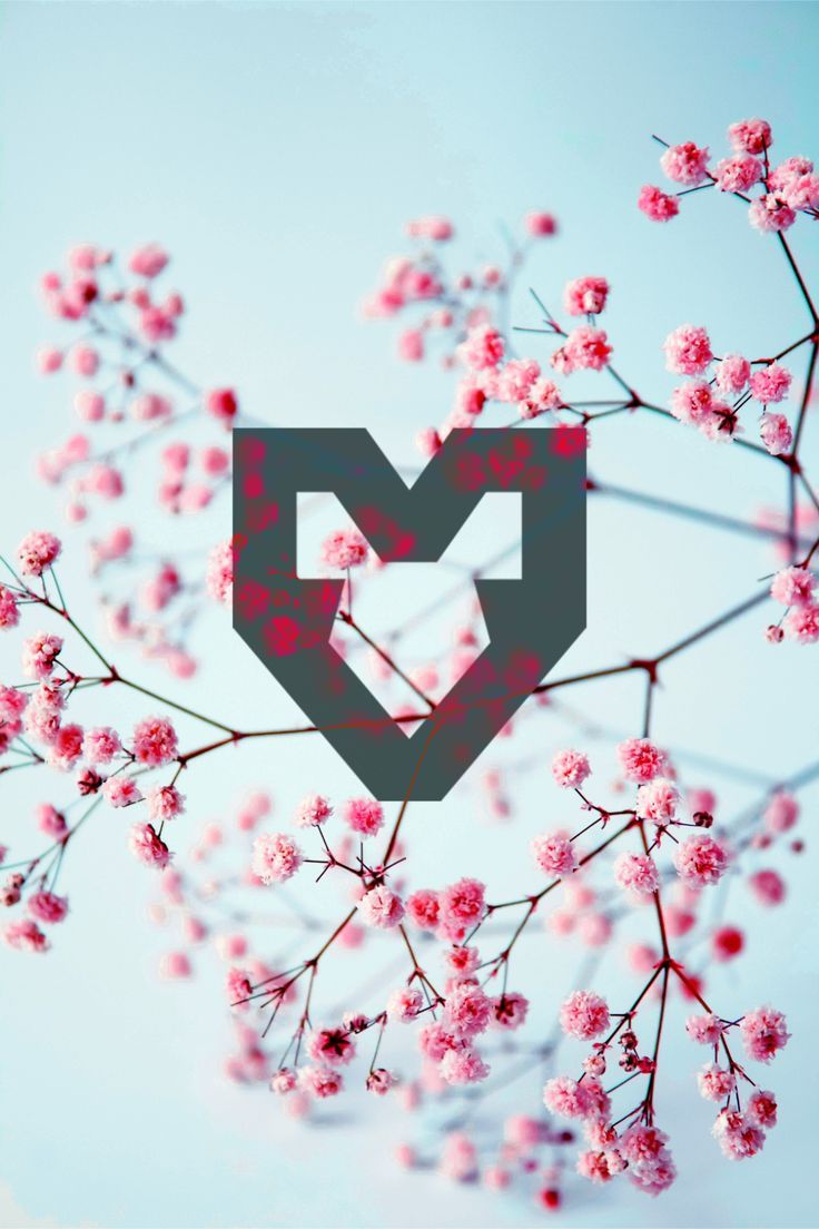 736x1104 CS2 Esport teams wallpaper ideas. team wallpaper, wallpaper, teams