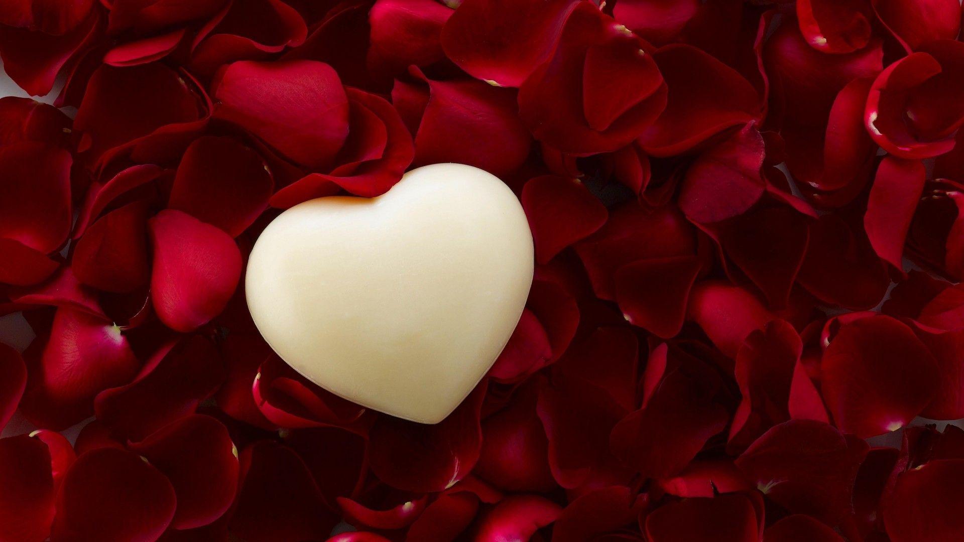 1920x1080 Red Petals With White Heart Wallpaper