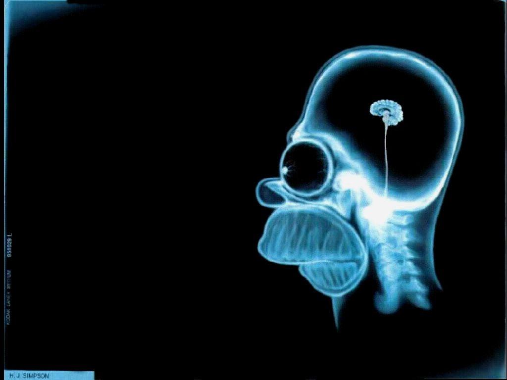1024x768 Free download Pinky And The Brain Wallpaper 23 1024 X 768 stmednet