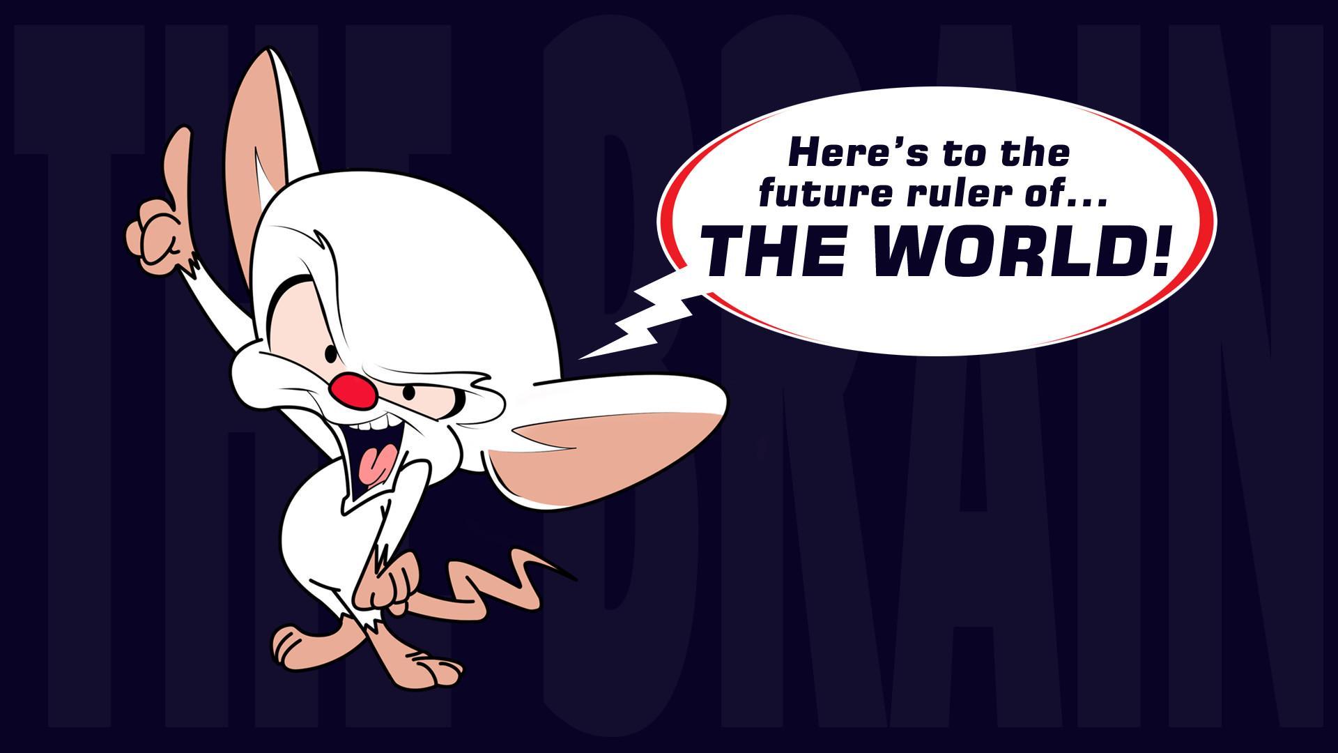 1920x1080 Pinky And The Brain Wallpaper