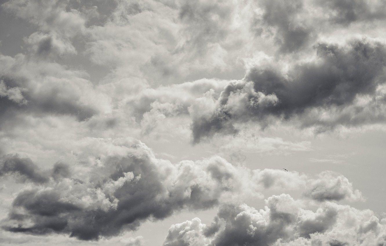 Grey Clouds Wallpapers - Top Free Grey Clouds Backgrounds - WallpaperAccess