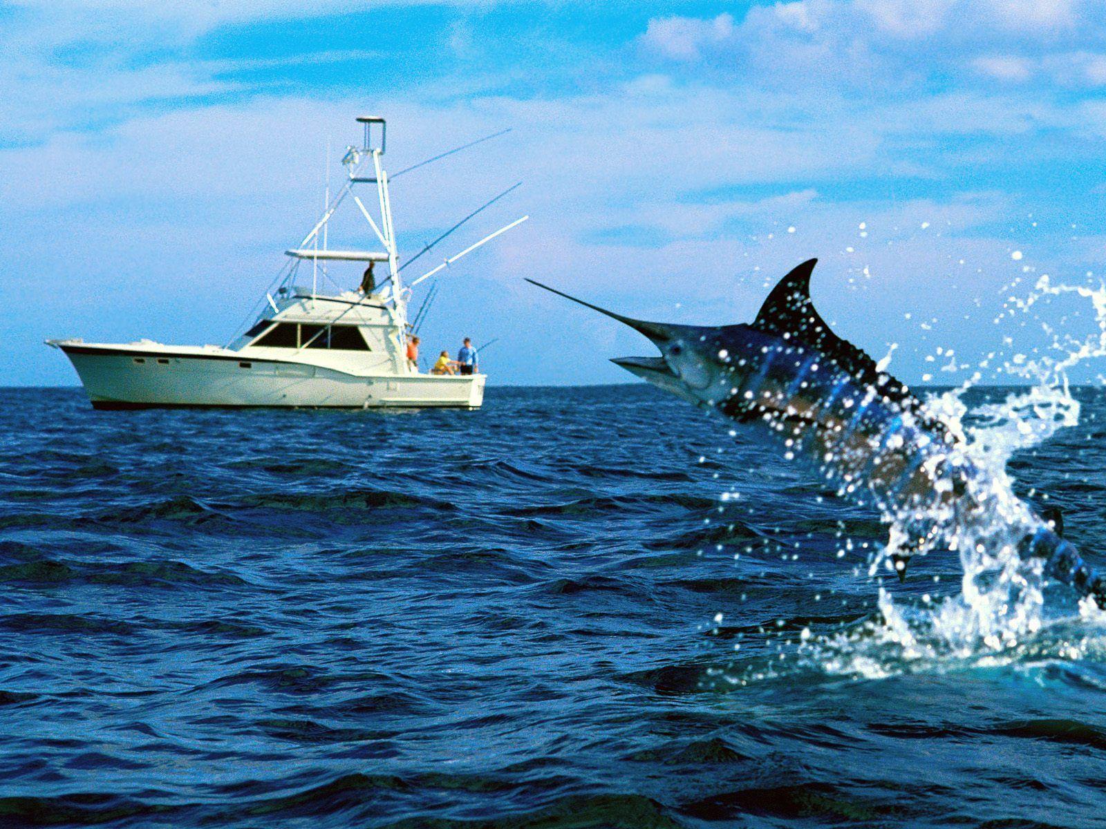 1600x1200 Fishing Desktop Background