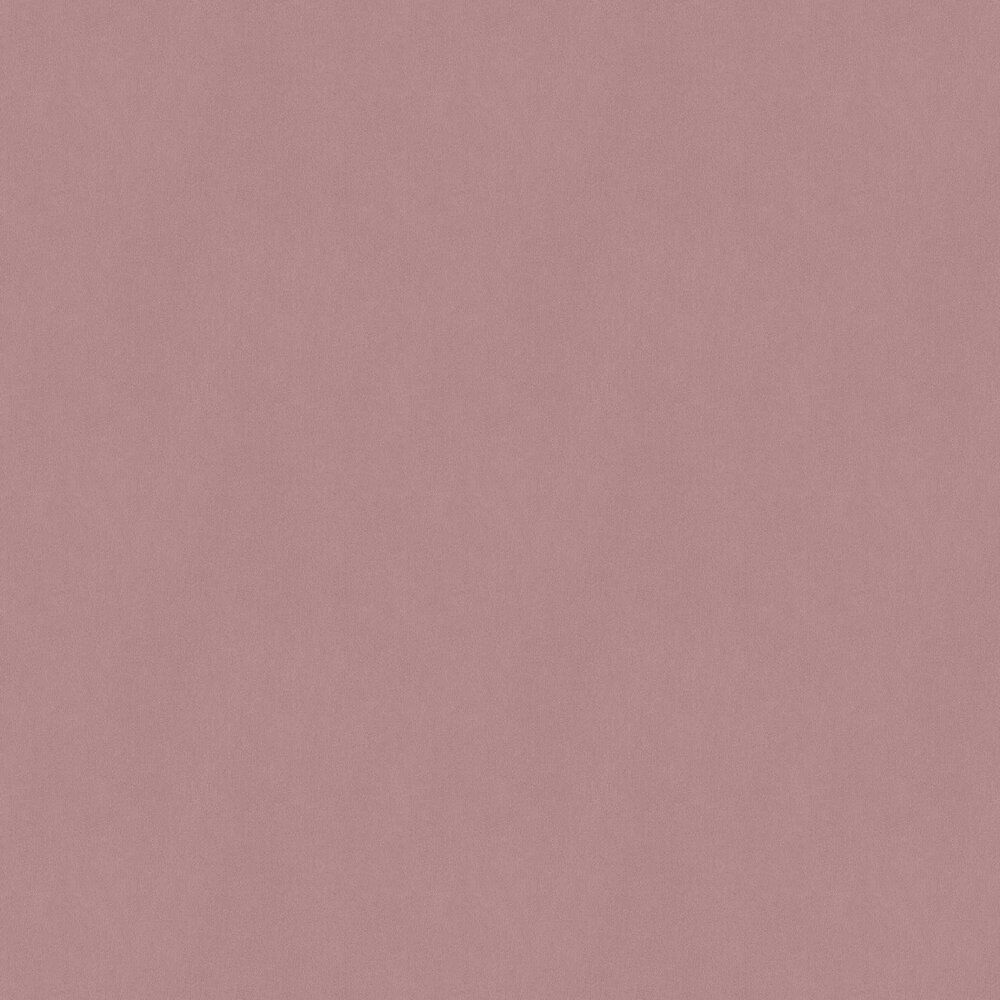 1000x1000 Dream Plain by Albany Pink : Wallpaper Direct