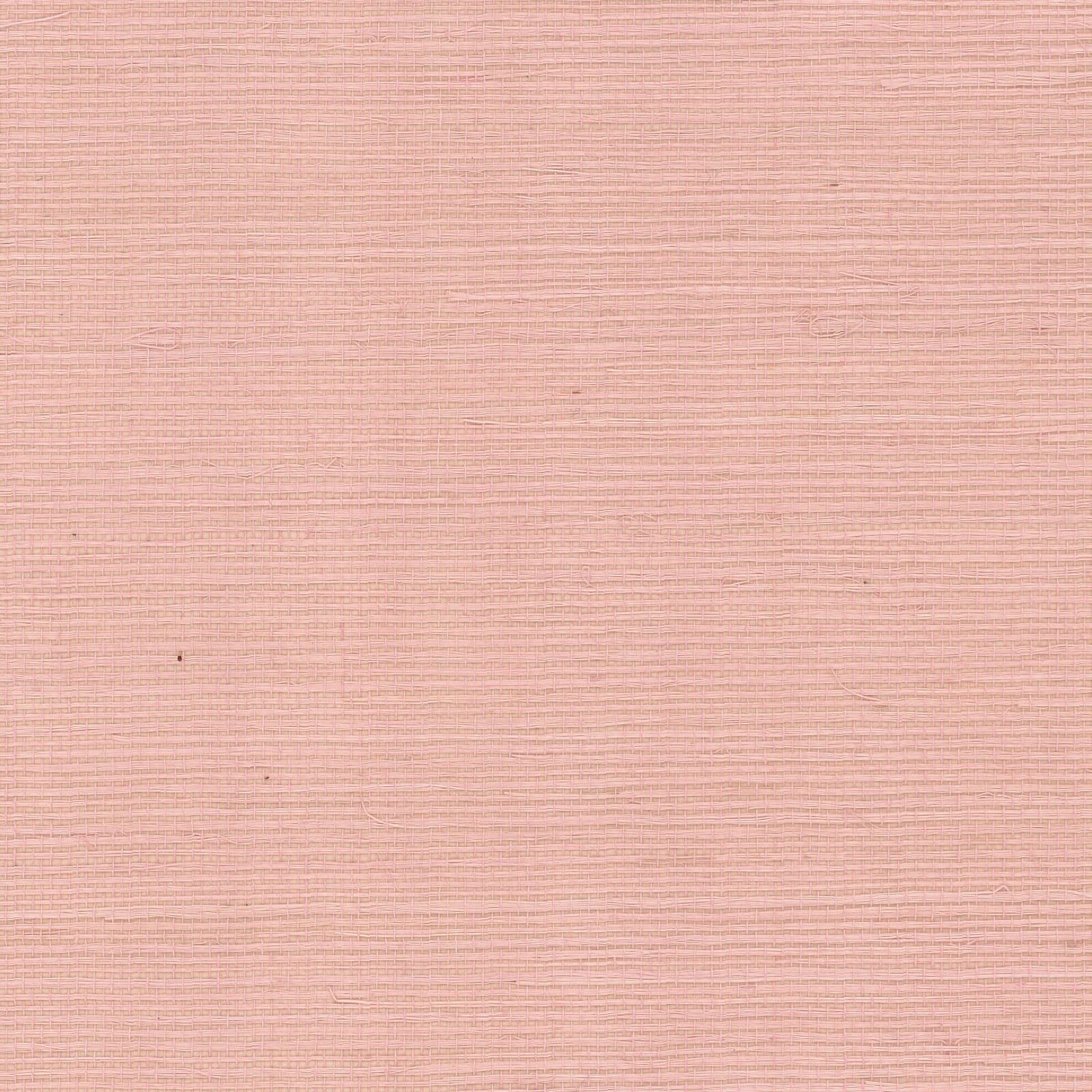 1600x1600 RI5183 Light Pink Palette Wallpaper