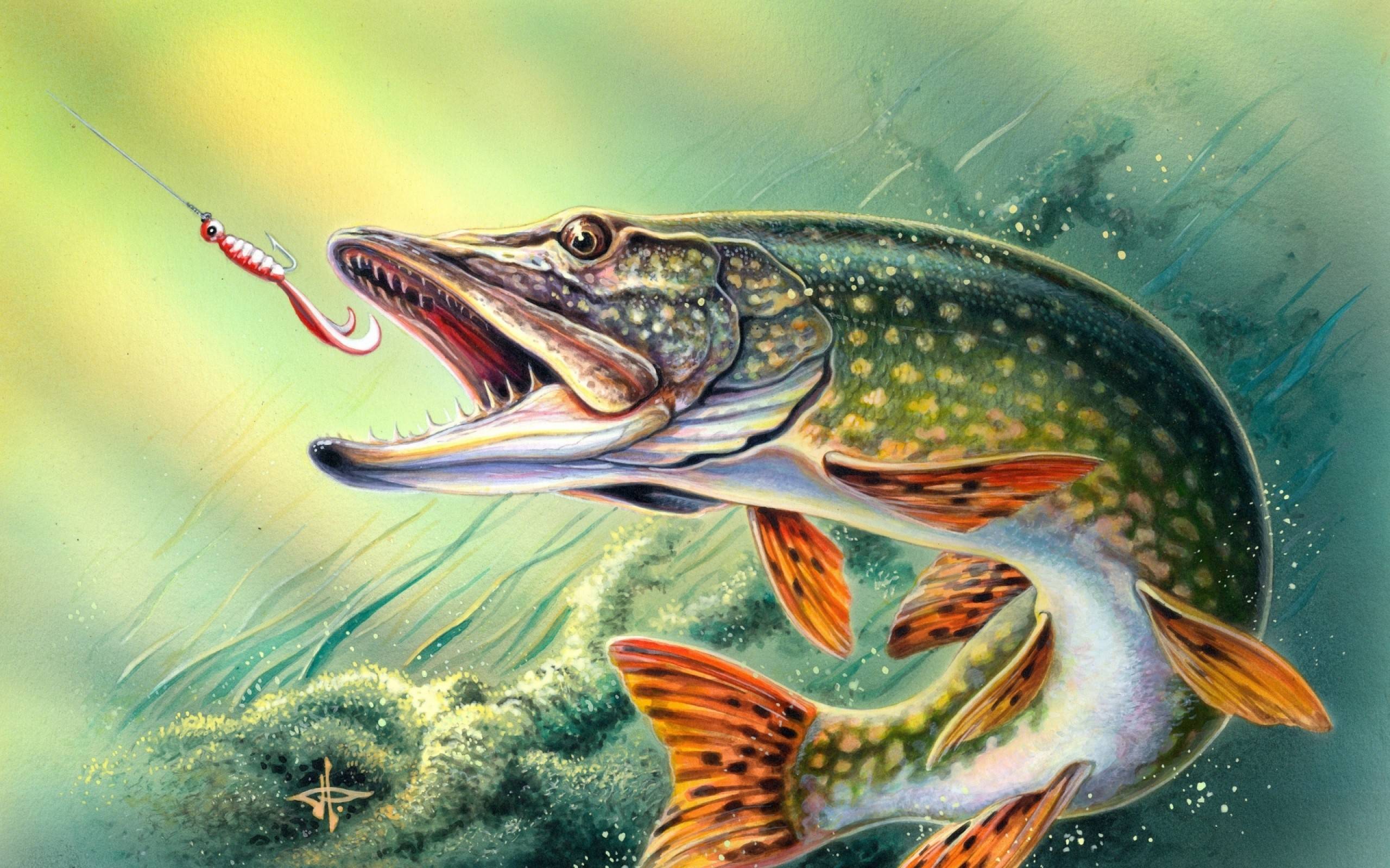 2560x1600 Fishing Wallpaper HD