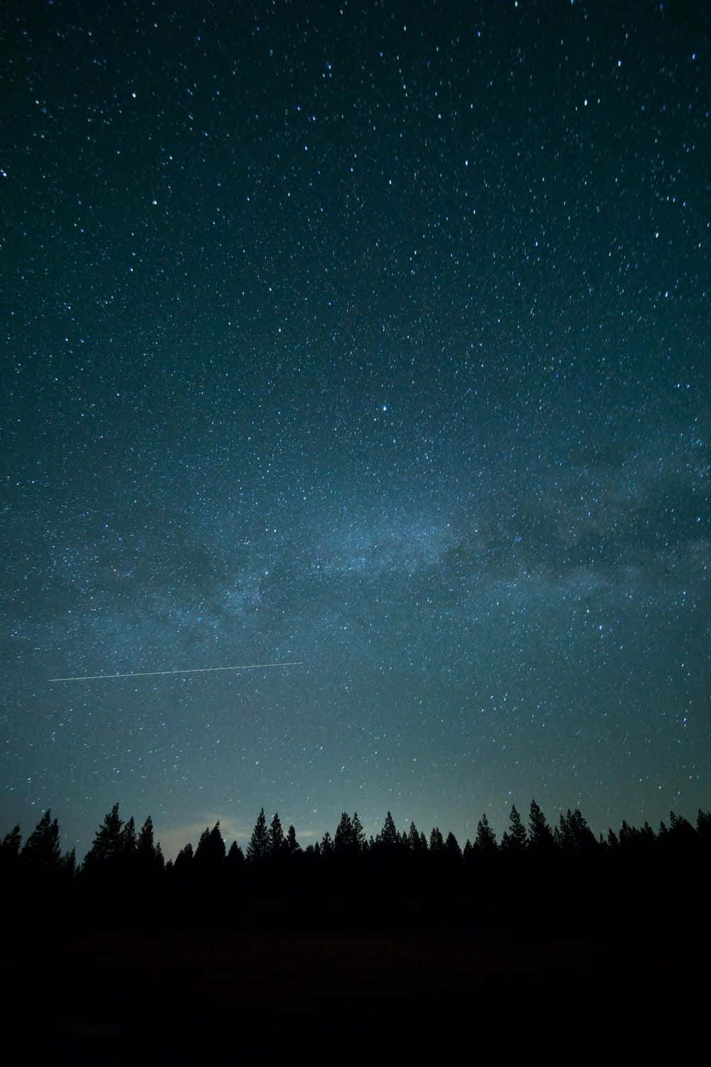 1000x1500 Download Perfect way to cap your night