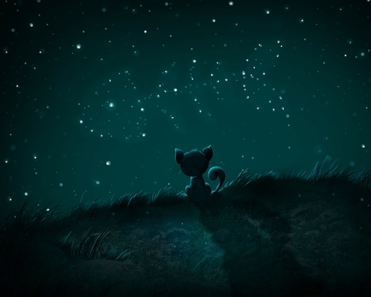 1280x1024 Cat watching sky animated illustration, stars HD wallpaper