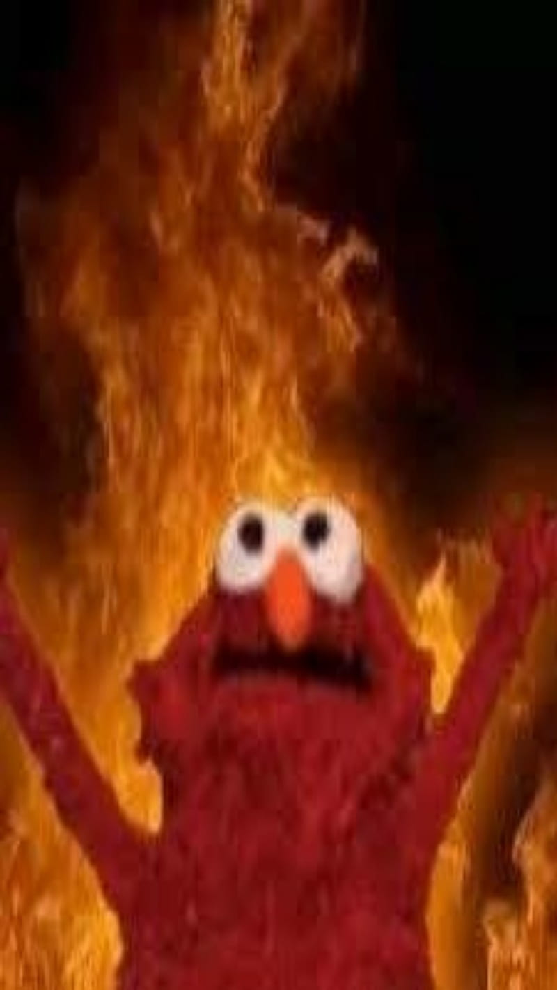 800x1422 Elmo Xablau, sesame street, HD phone wallpaper
