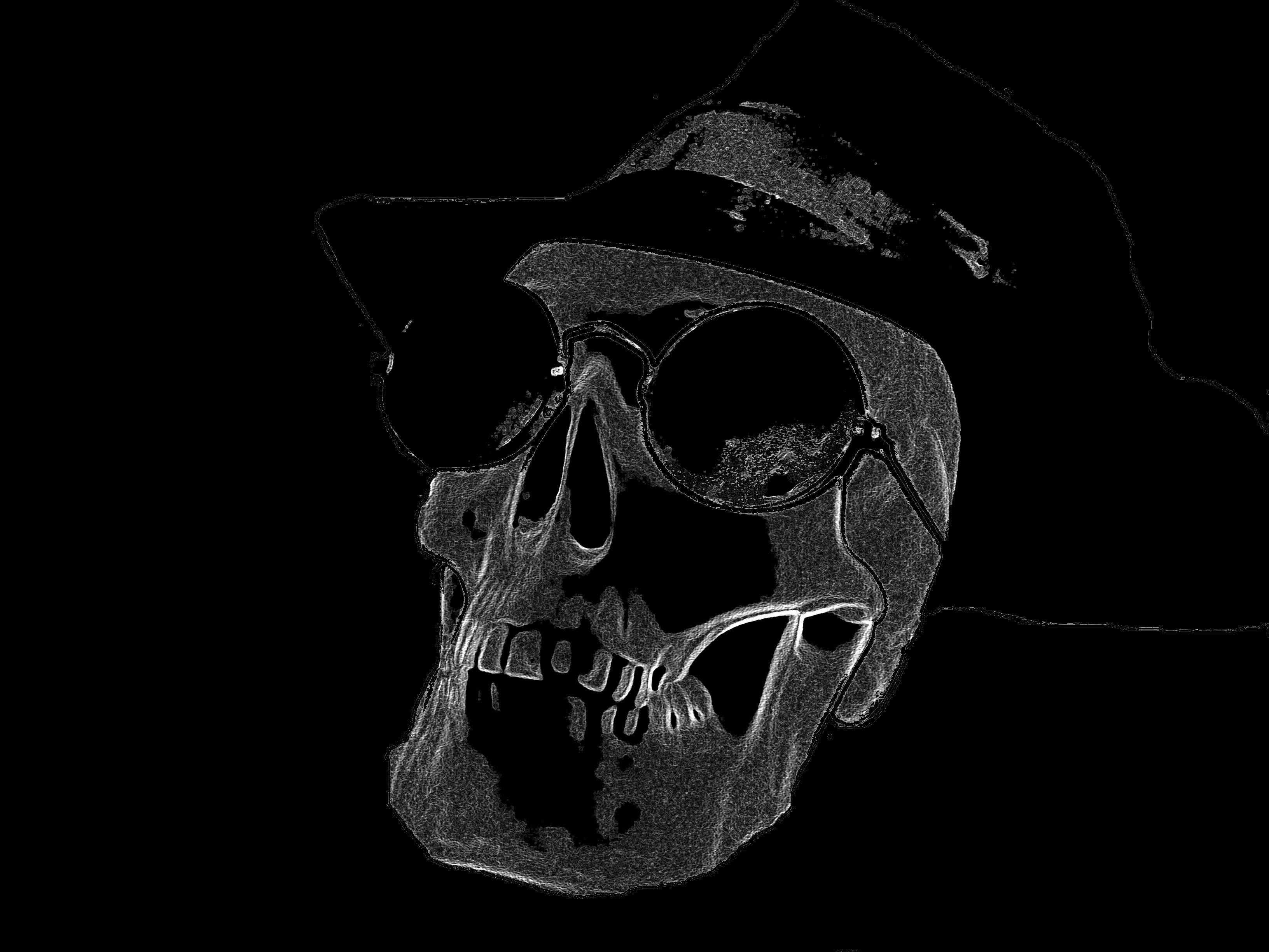 3264x2448 Black and White Skulls Wallpaper