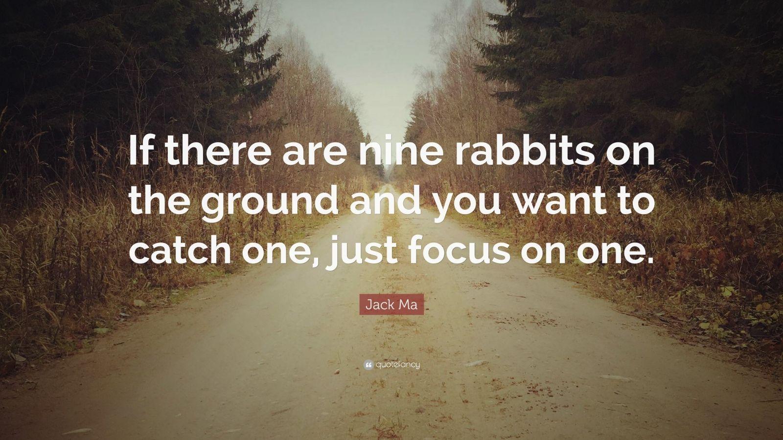 1600x900 Jack Ma Quote: “If there are nine rabbits on the ground and you