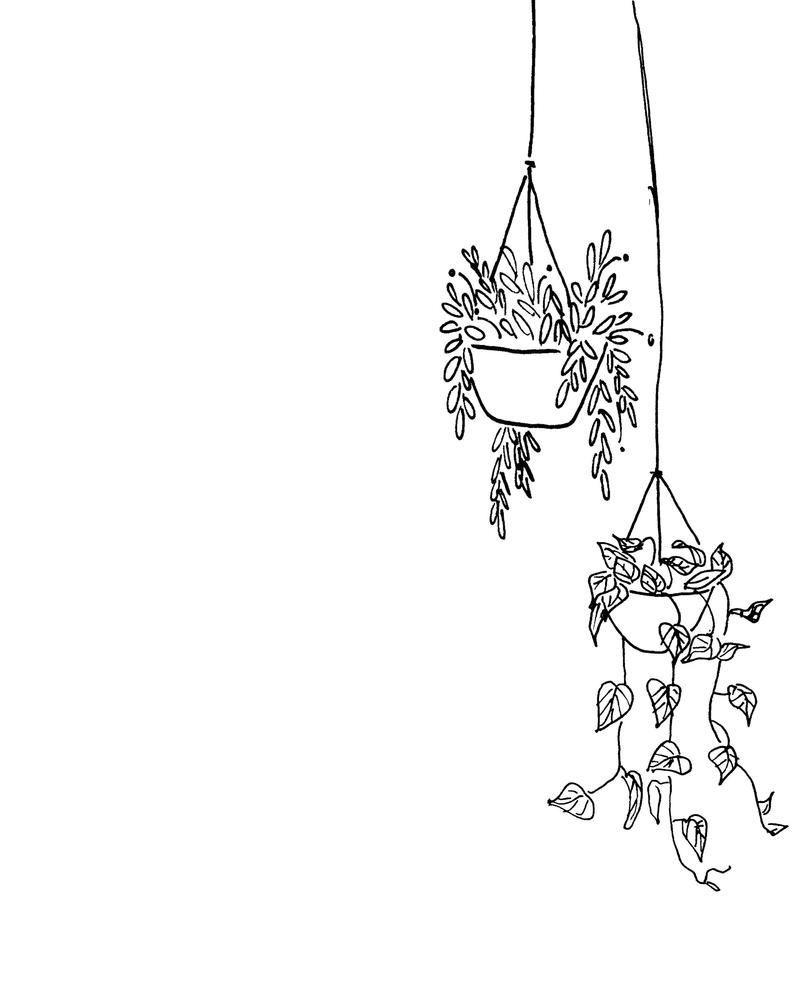 794x993 Black and White Hanging Plants Printable. Instant Digital