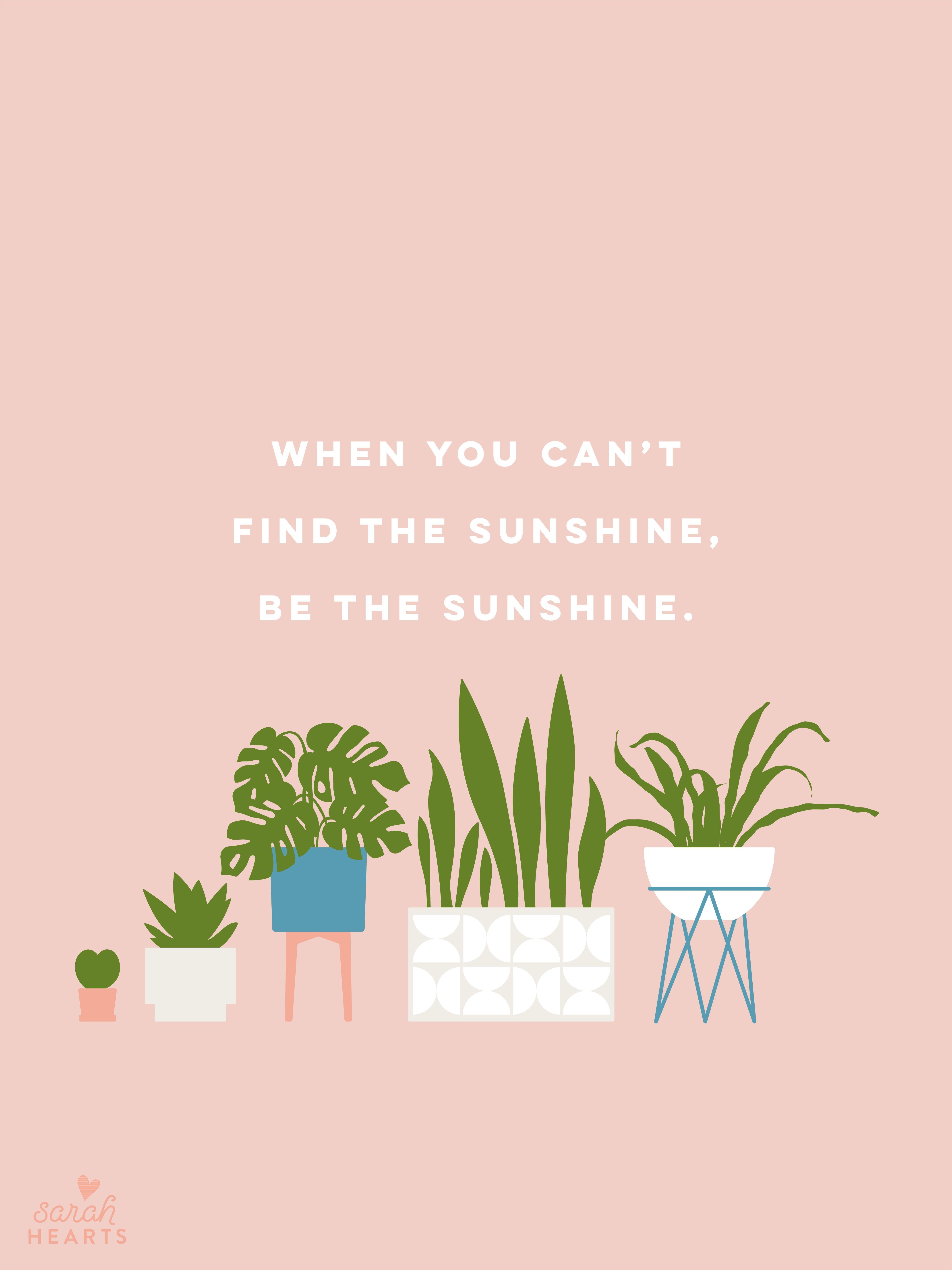 4268x5692 House Plant August 2019 Calendar Wallpaper