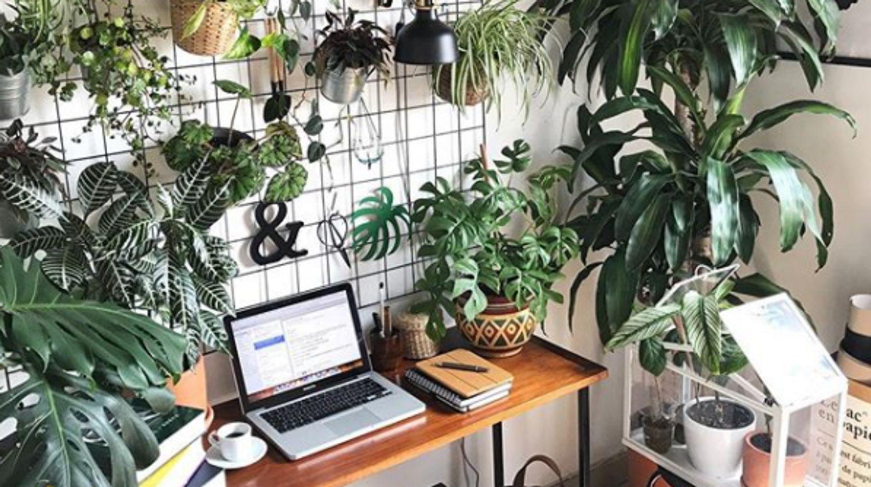 1778x995 Creative Hacks To Add Plants To Your Small Space