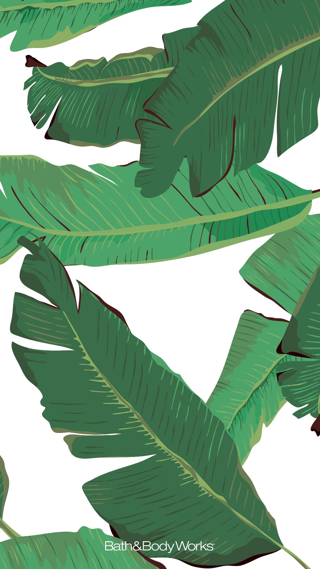 1080x1920 Palm Leaves iPhone Wallpaper Background. Tree illustration, Pop