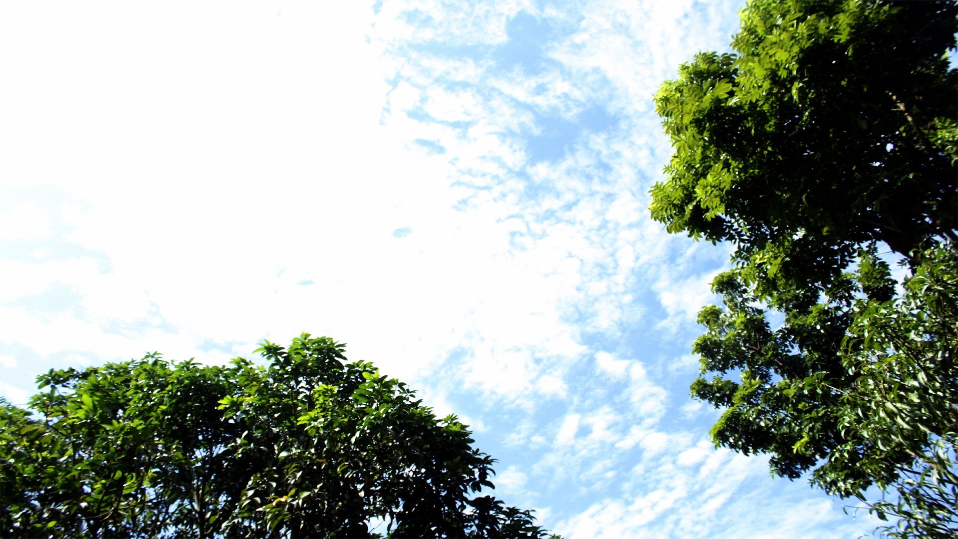 1920x1080 Skies over Rajshahi 4K UHD Wallpaper for UltraHD Desktop and TV