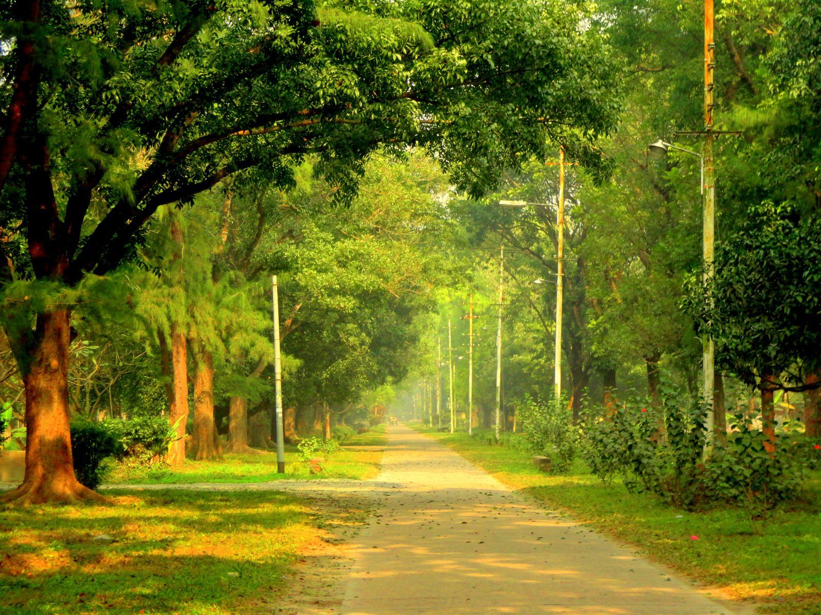 1600x1200 Rajshahi: Modern city with a green heart. The Business Standard