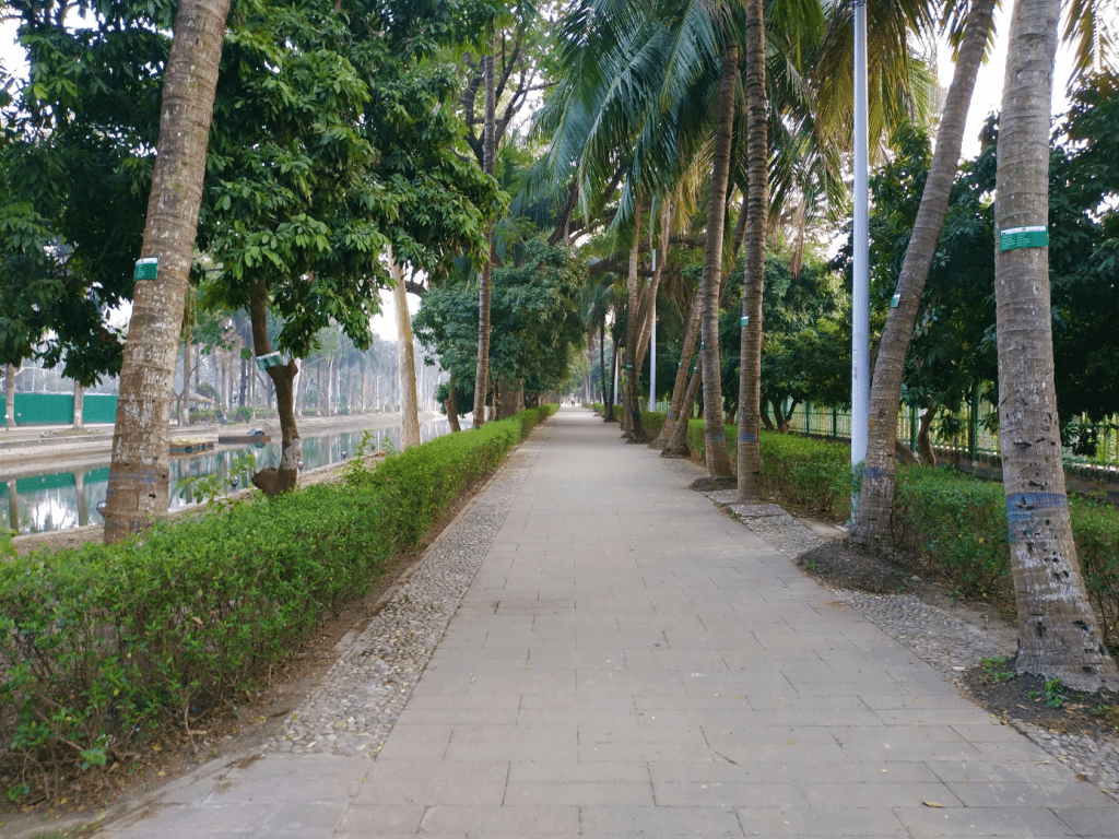 1024x768 Rajshahi advances its Urban Greening actions and completes plantation for a pilot project on biodiversity