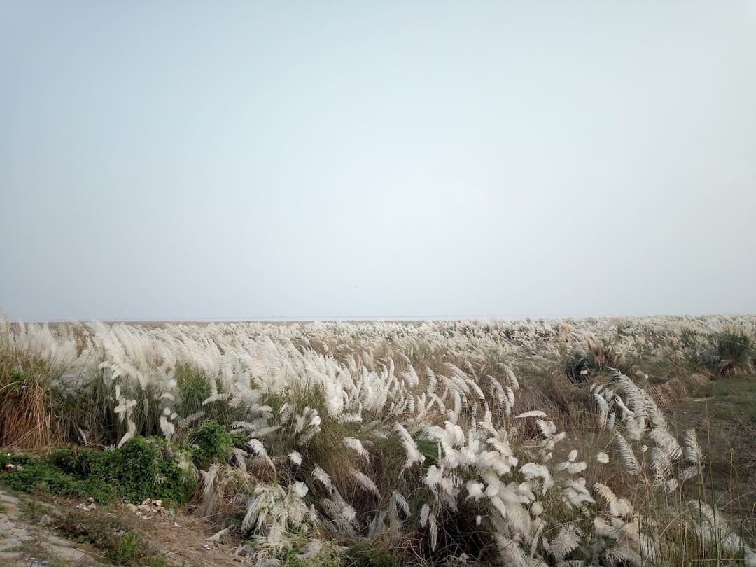 1080x810 Highlights of Rajshahi