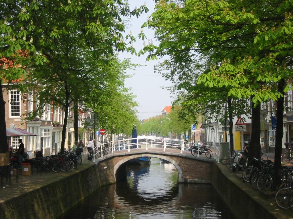 1024x768 Dutch Wallpaper