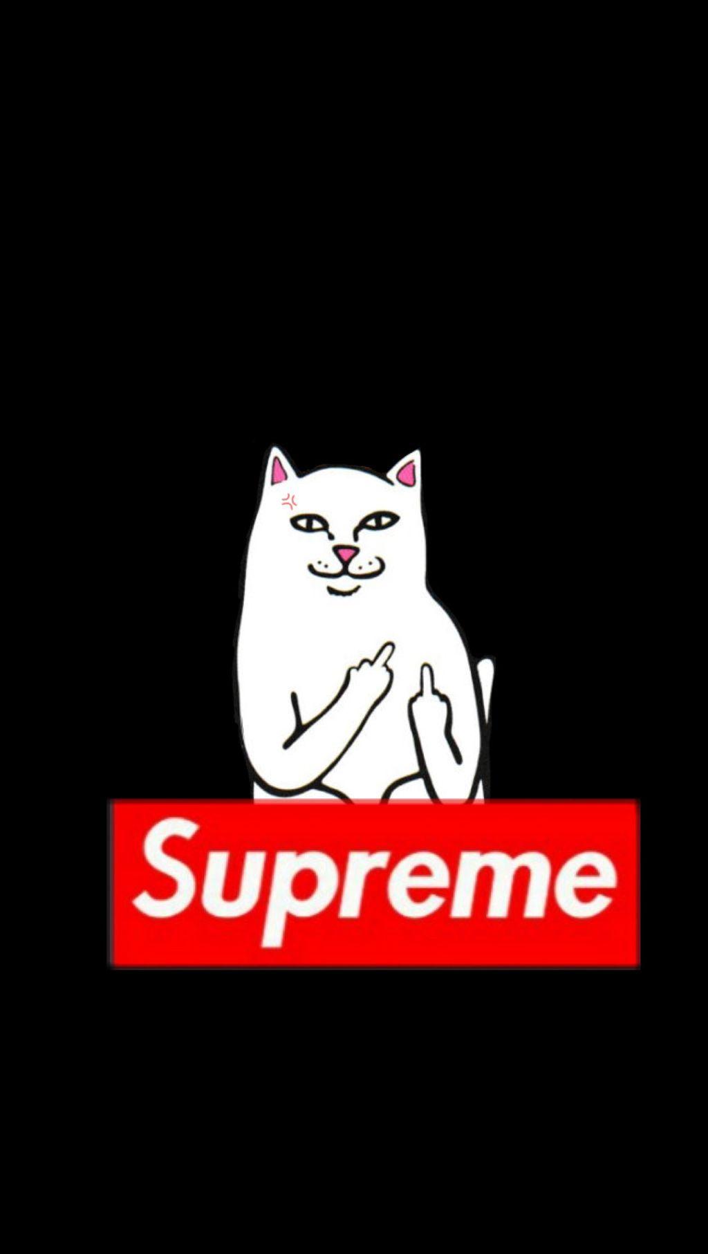 1024x1813 freetoedit #lockscreen #supreme #ripndip #cat #iphonelockscreen