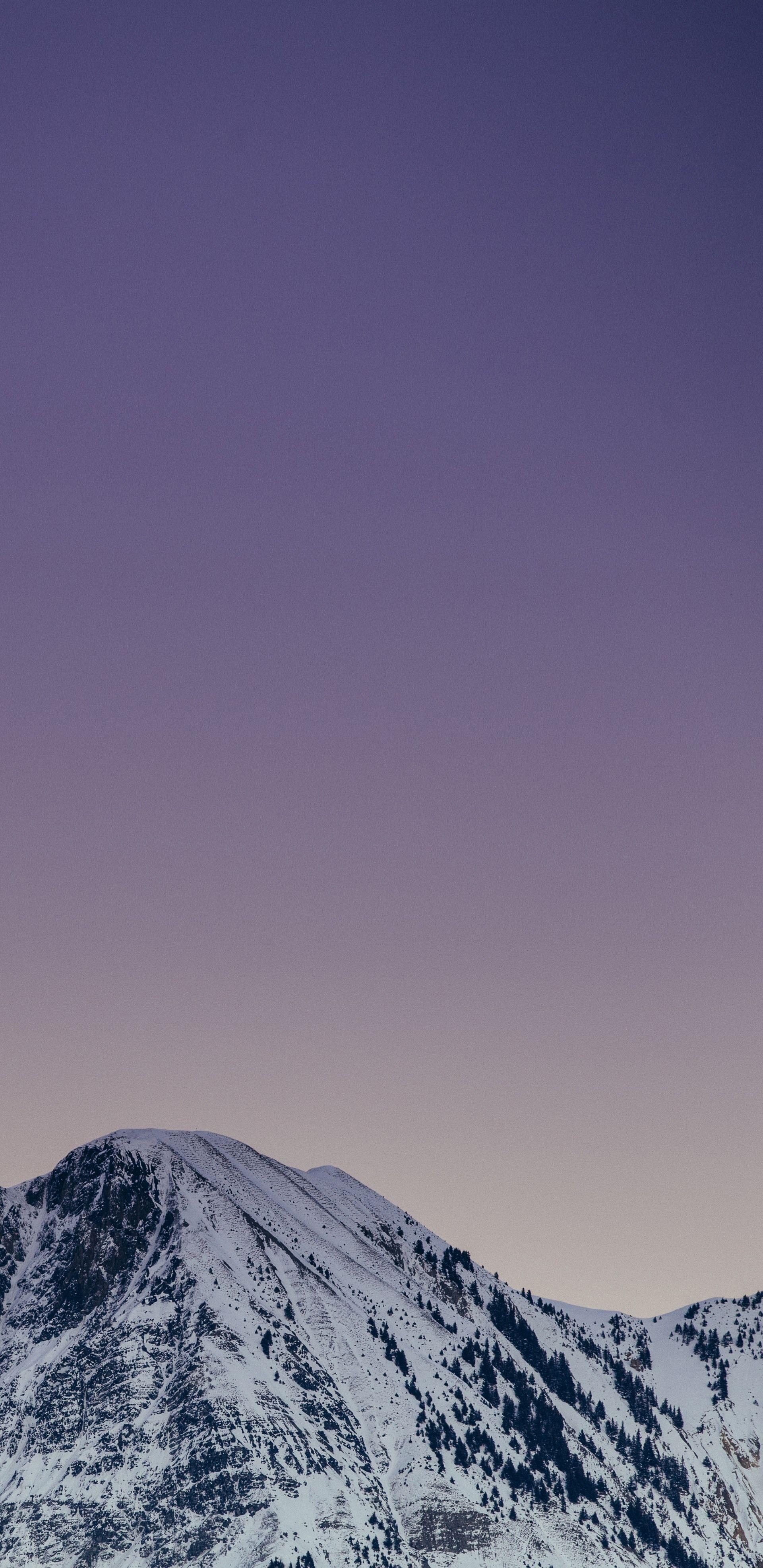 1920x3947 Galaxy S8 and Swallpaper Infinity Display wallpaper