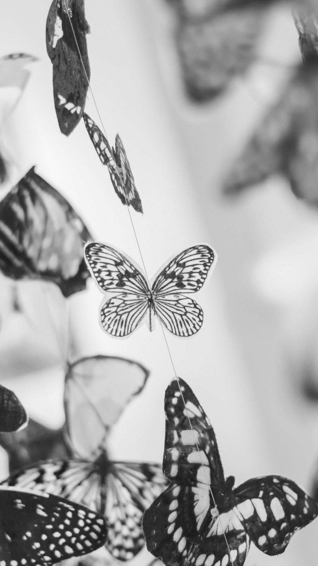 Black and White Butterfly Wallpapers - Top Free Black and White Butterfly Backgrounds