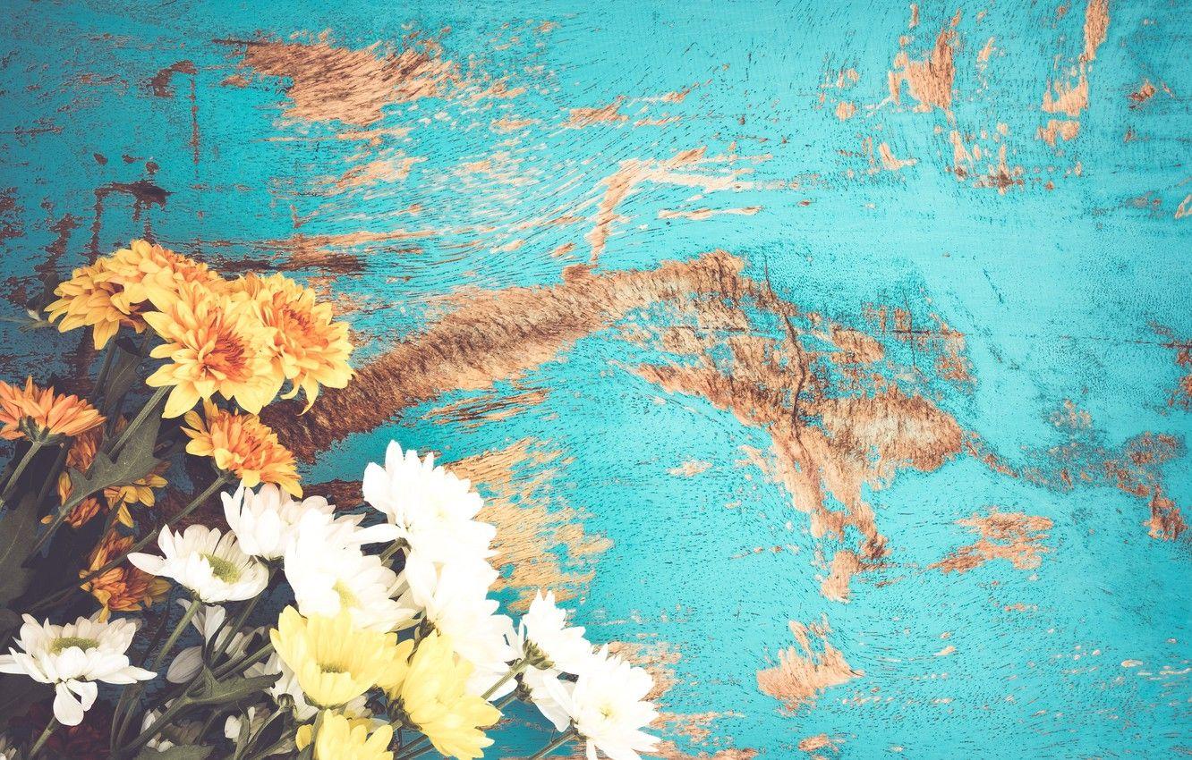 1332x850 Wallpaper flower, summer, blue, chrysanthemum, bouquet, spring