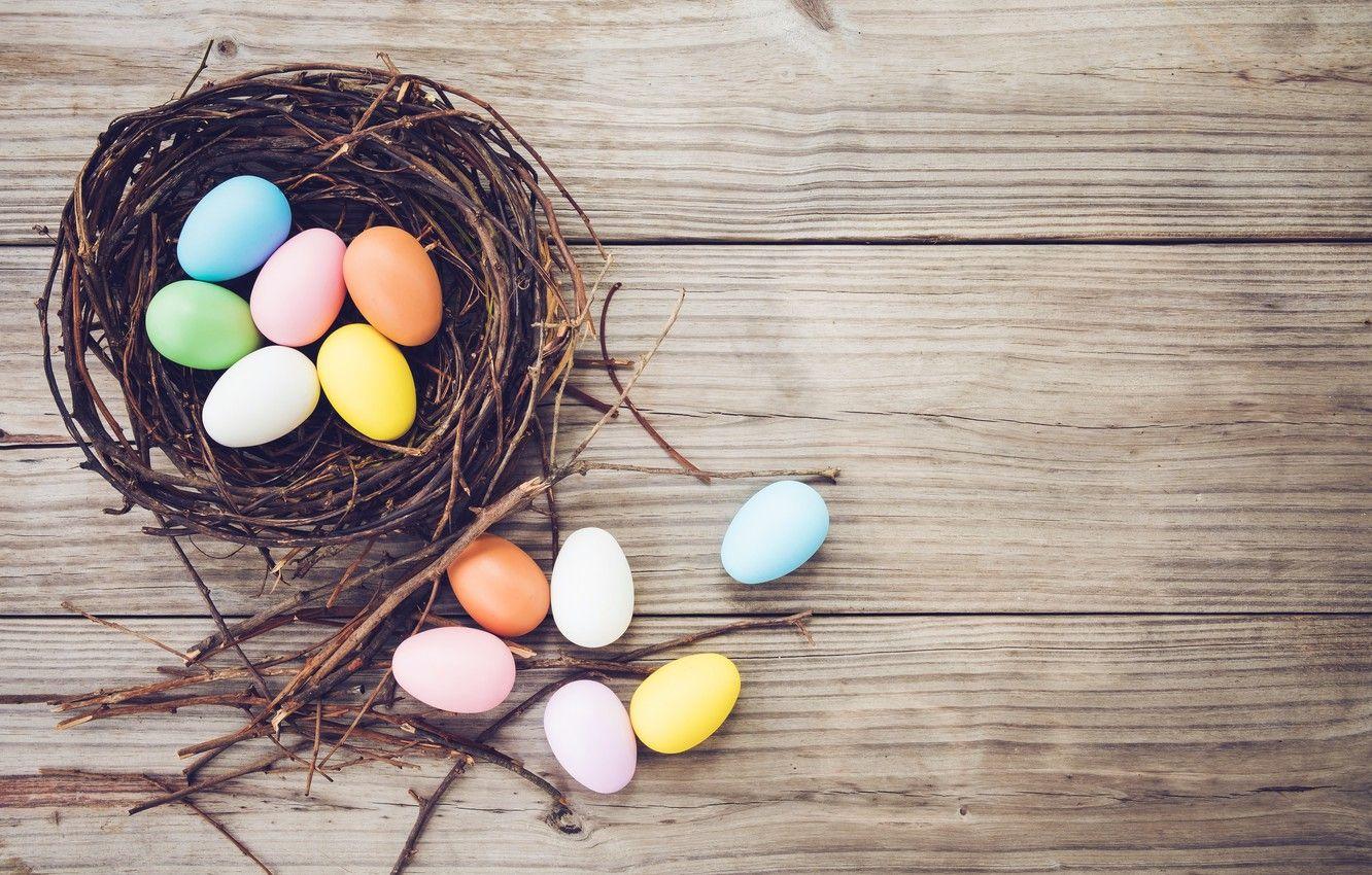 1332x850 Wallpaper branches, basket, eggs, spring, colorful, Easter, vintage, wood, spring, Easter, eggs, decoration, Happy, tender image for desktop, section праздники