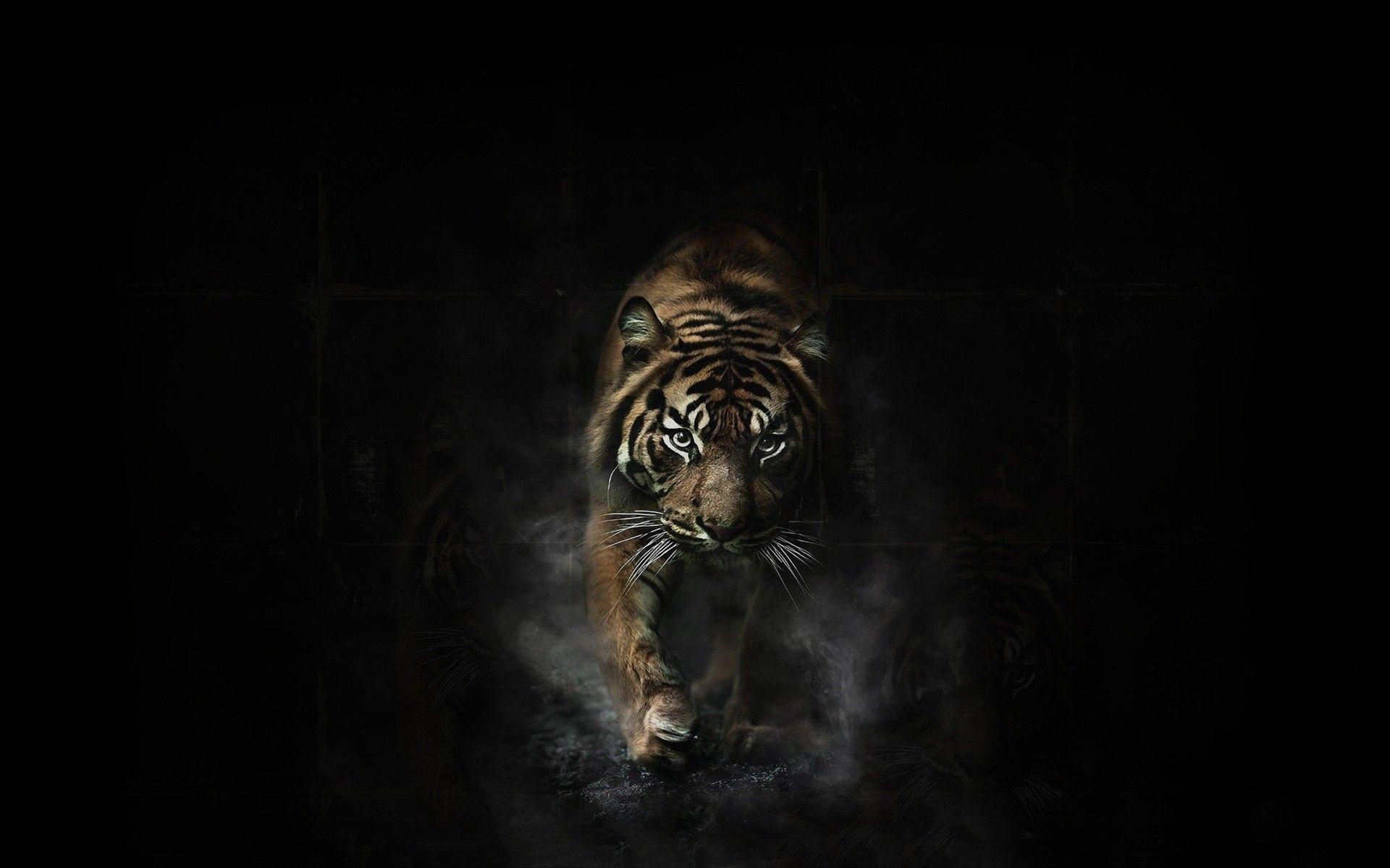 1920x1200 Saber Tooth Tiger Wallpaper