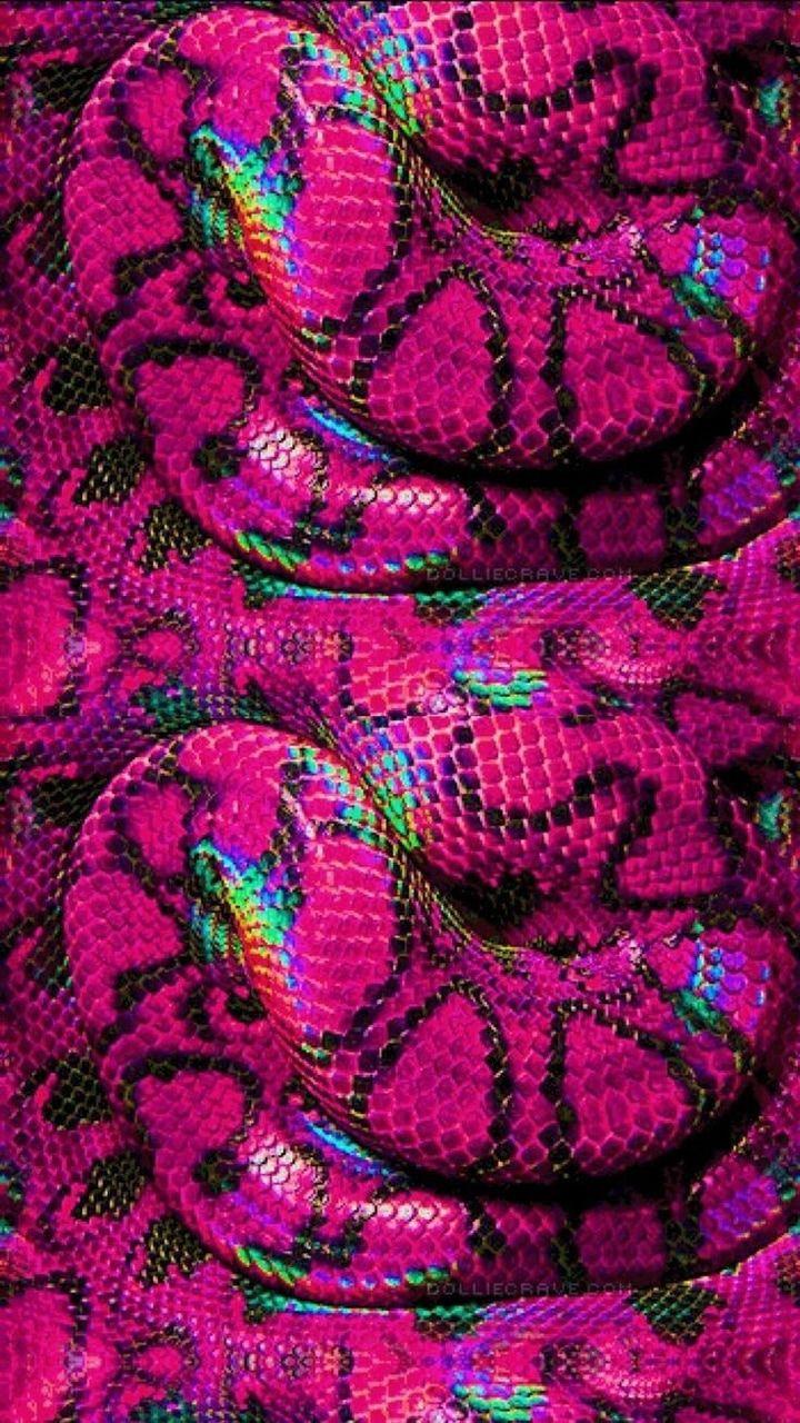Hình nền HD 720x1280 Hot Pink Snakes.  ❤️ nó