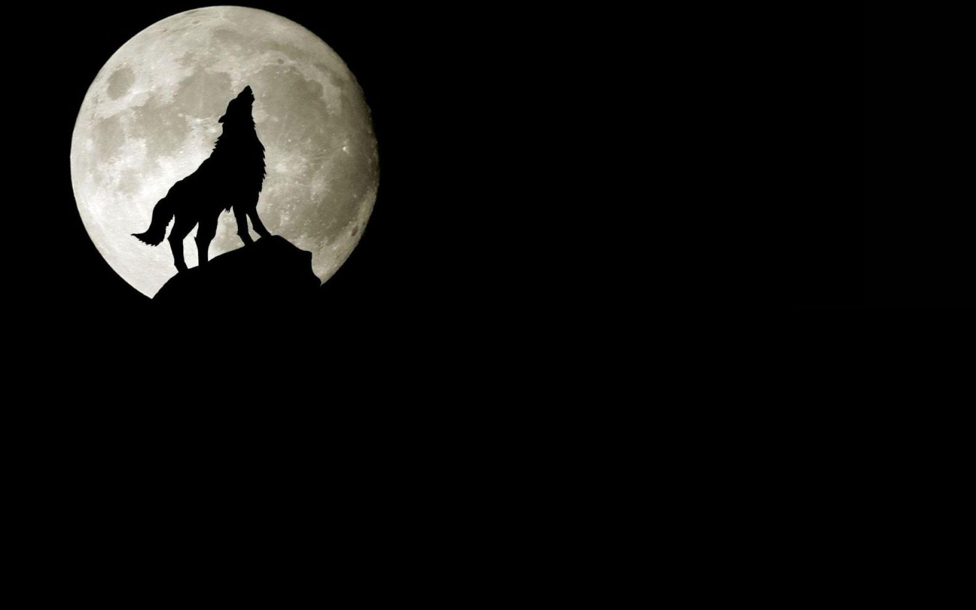1920x1200 Black Moon Wallpaper HD