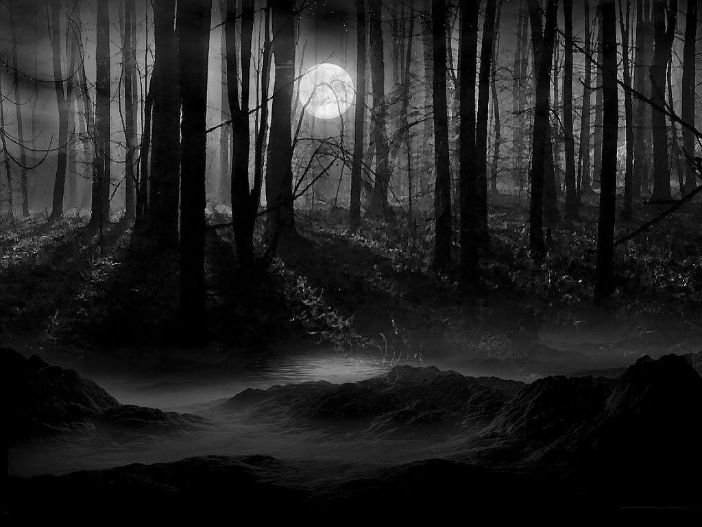 1024x768 Dark Forest With Moon Wallpaper